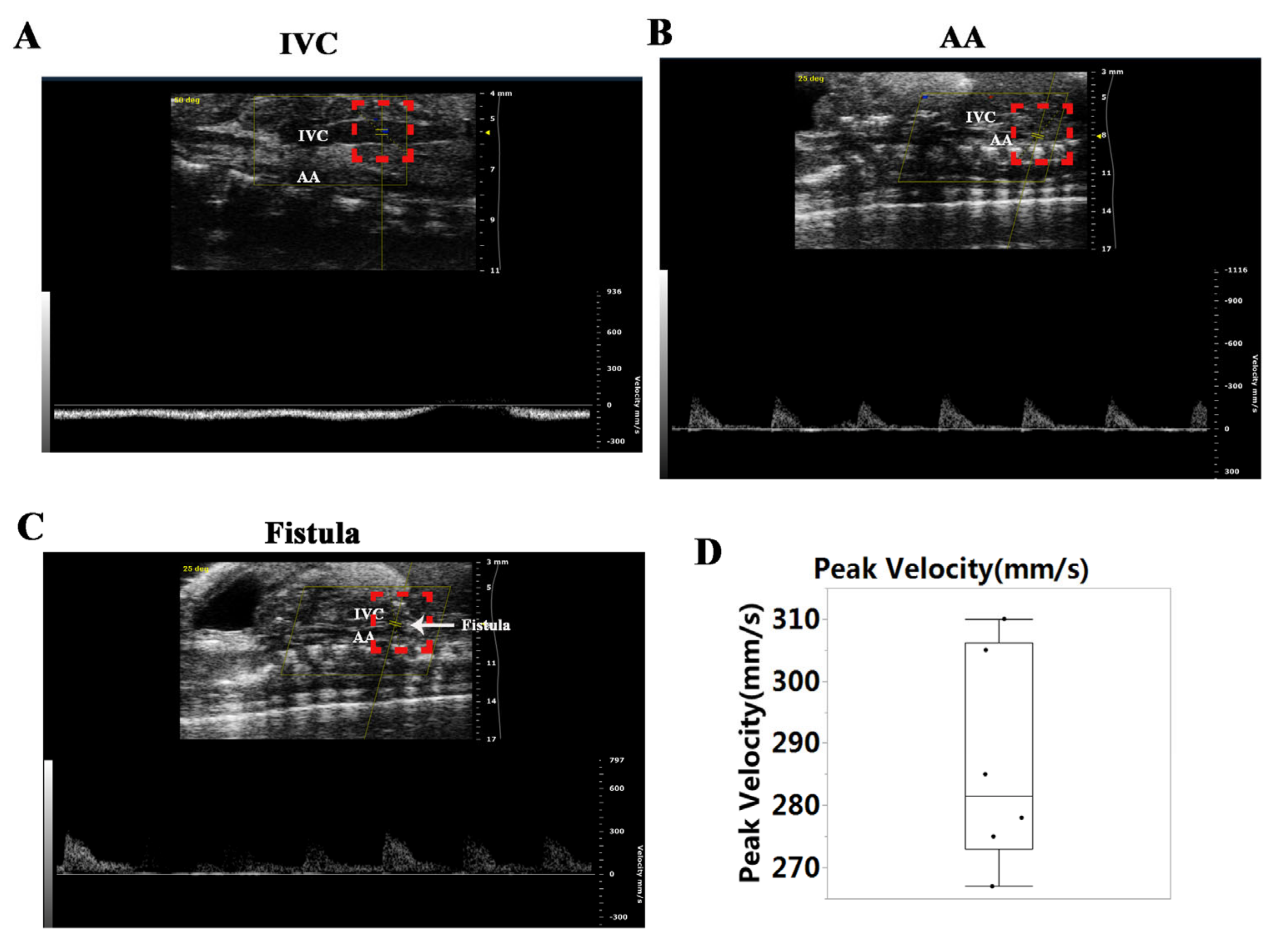 Biology 11 01831 g001 Biology 11 01831 g001