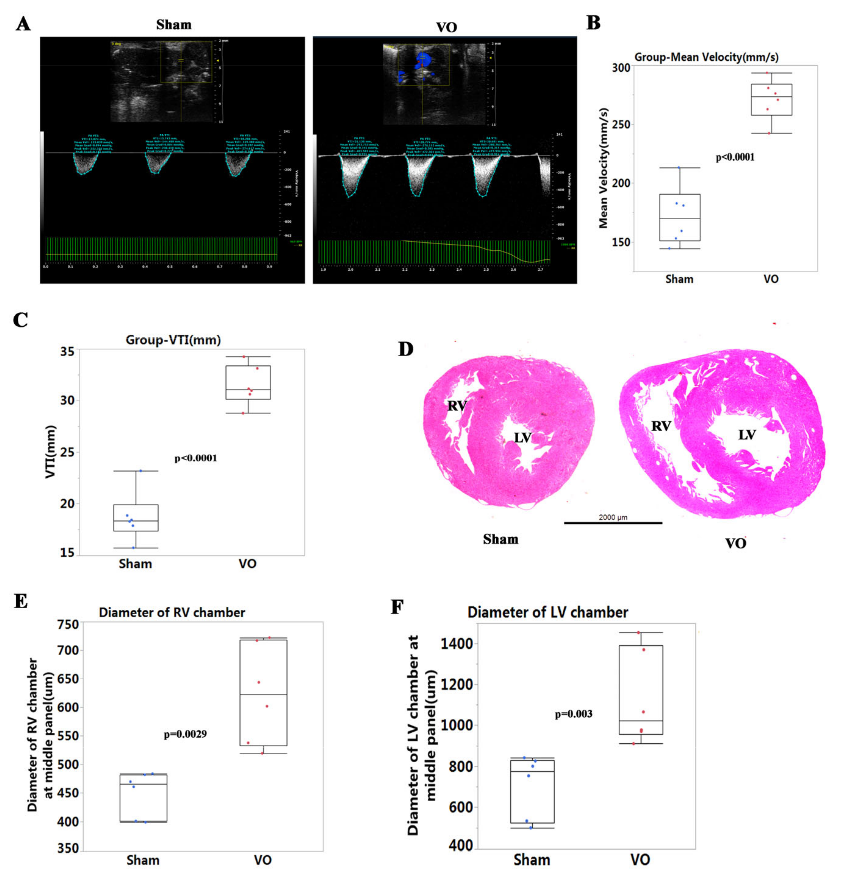 Biology 11 01831 g002 Biology 11 01831 g002