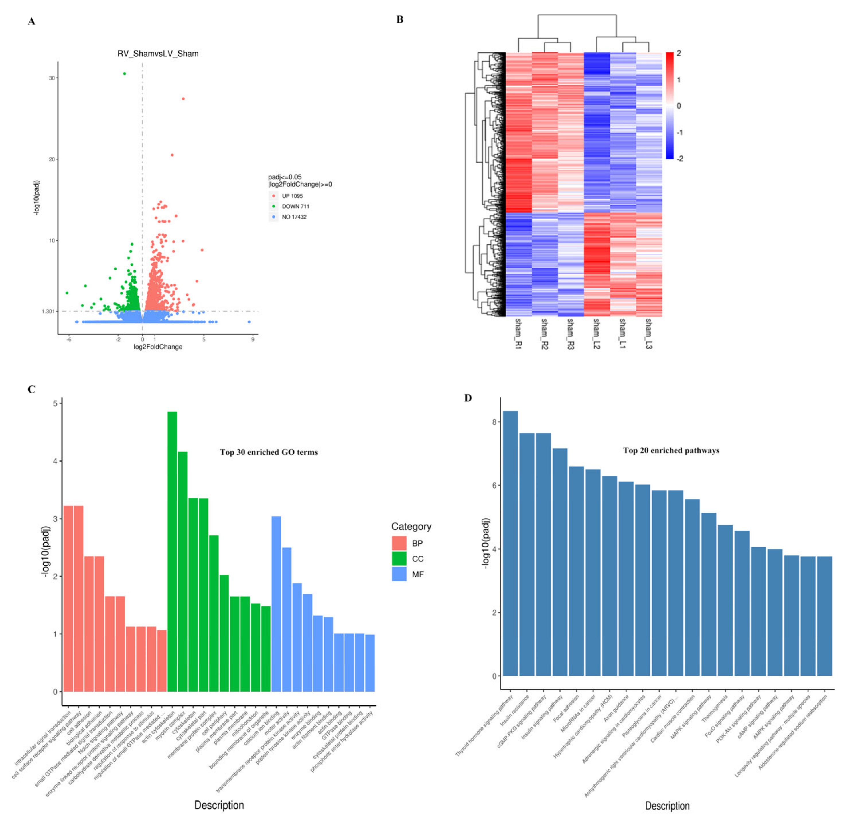 Biology 11 01831 g003 Biology 11 01831 g003