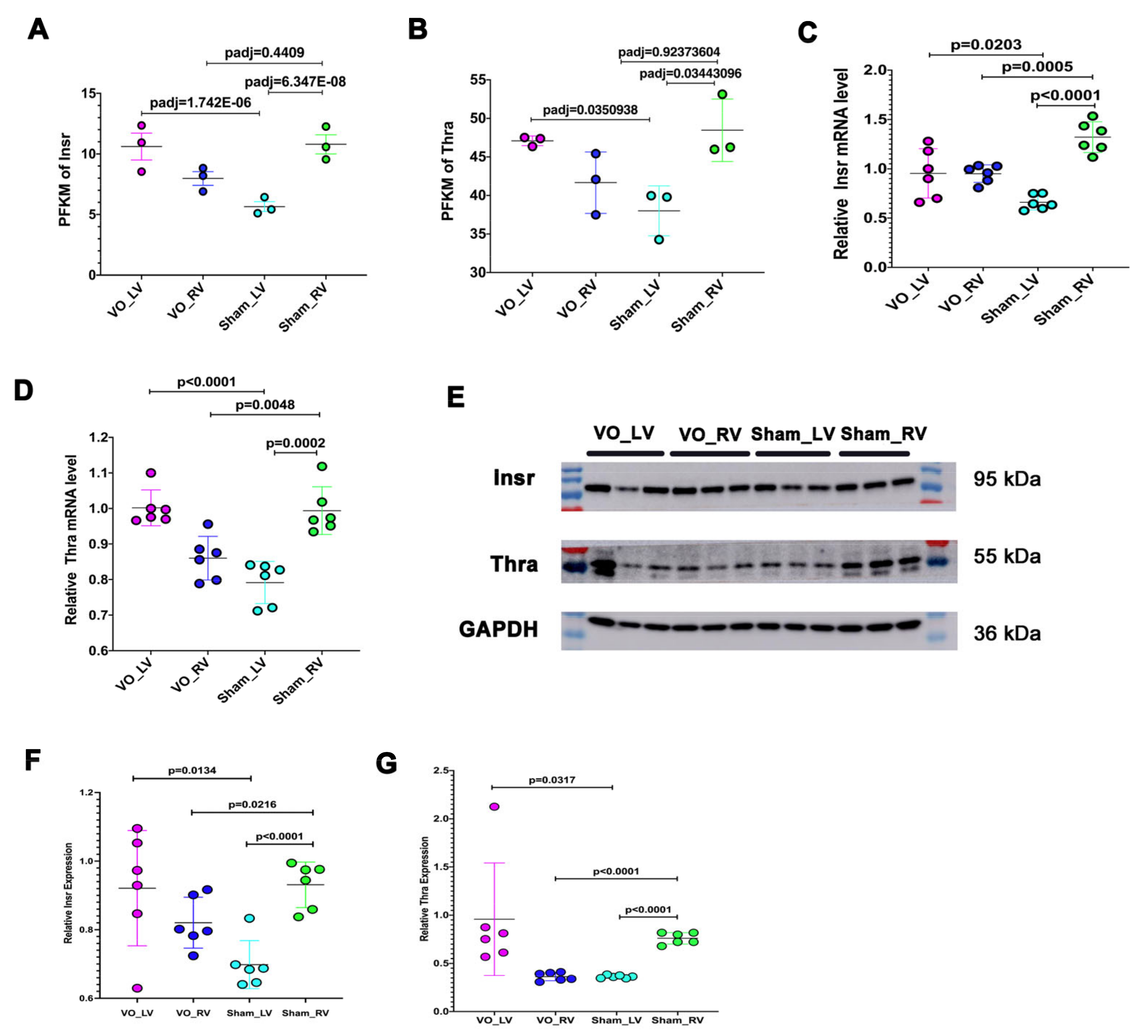 Biology 11 01831 g004 Biology 11 01831 g004