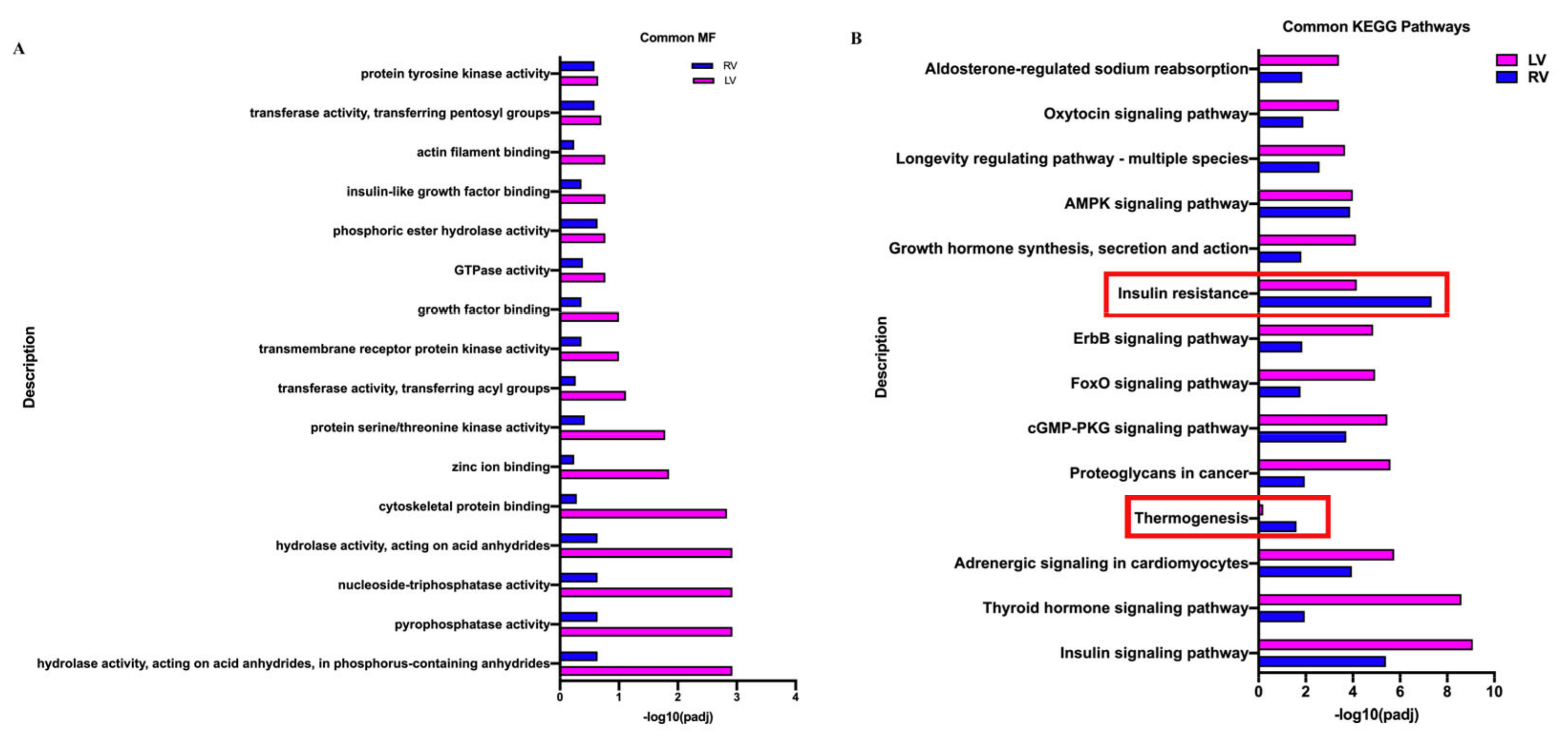Biology 11 01831 g006 Biology 11 01831 g006