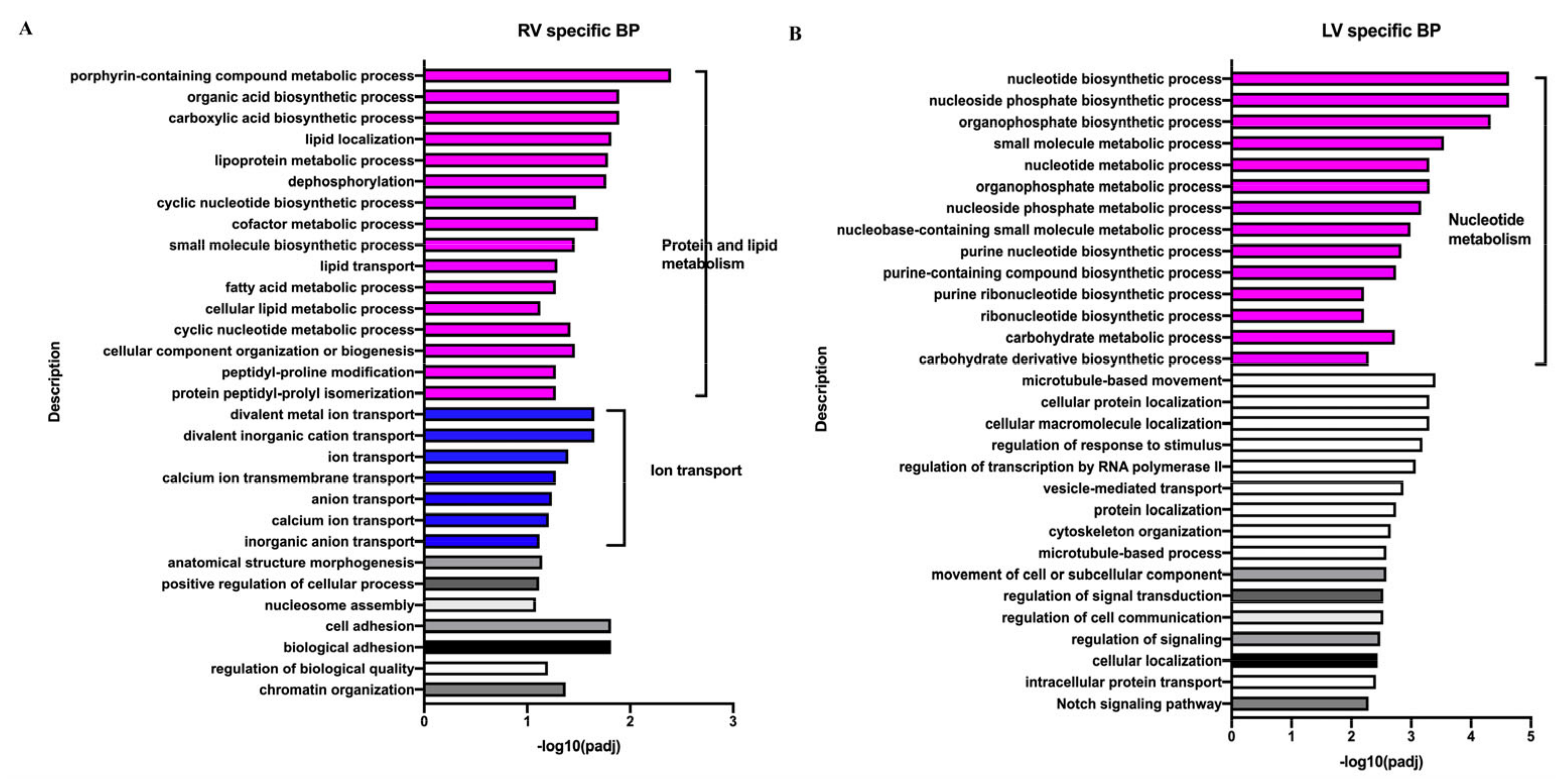 Biology 11 01831 g007 Biology 11 01831 g007
