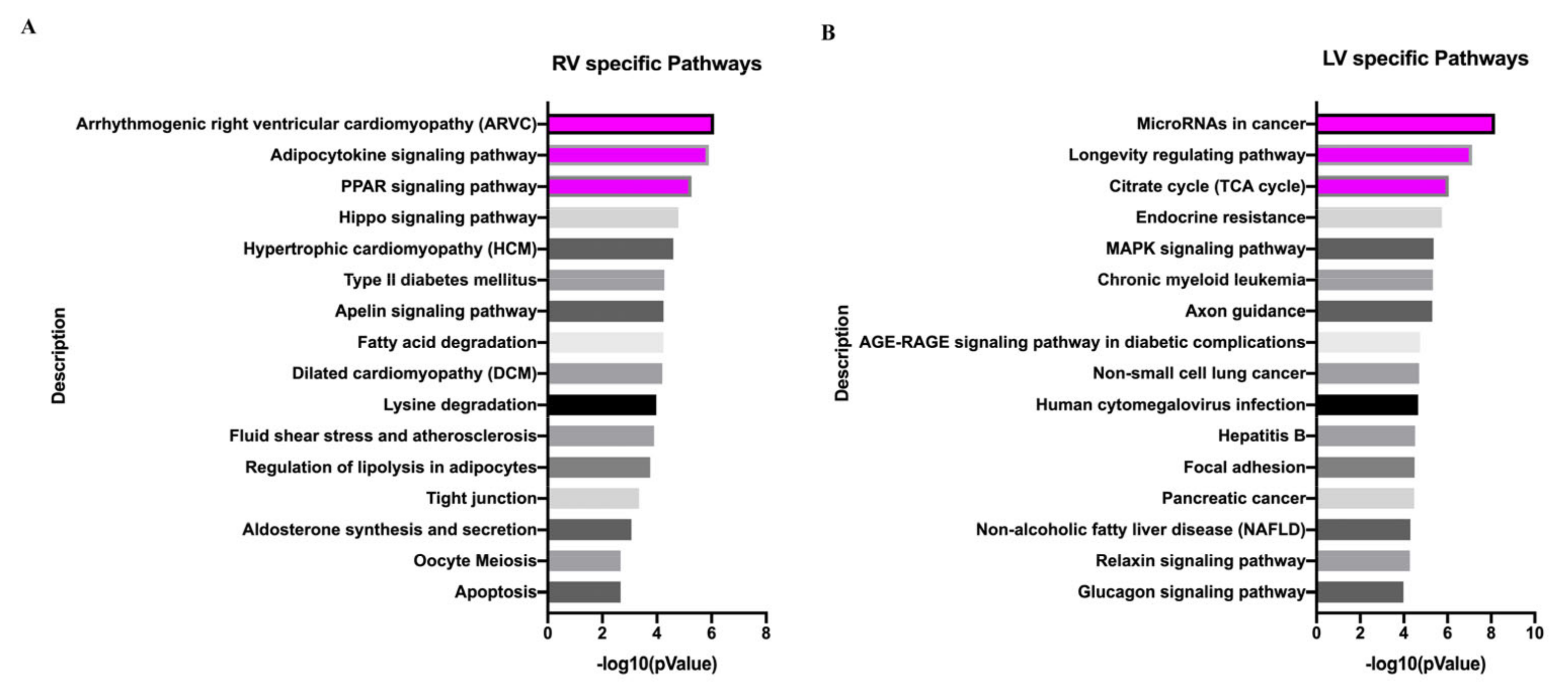 Biology 11 01831 g008 Biology 11 01831 g008
