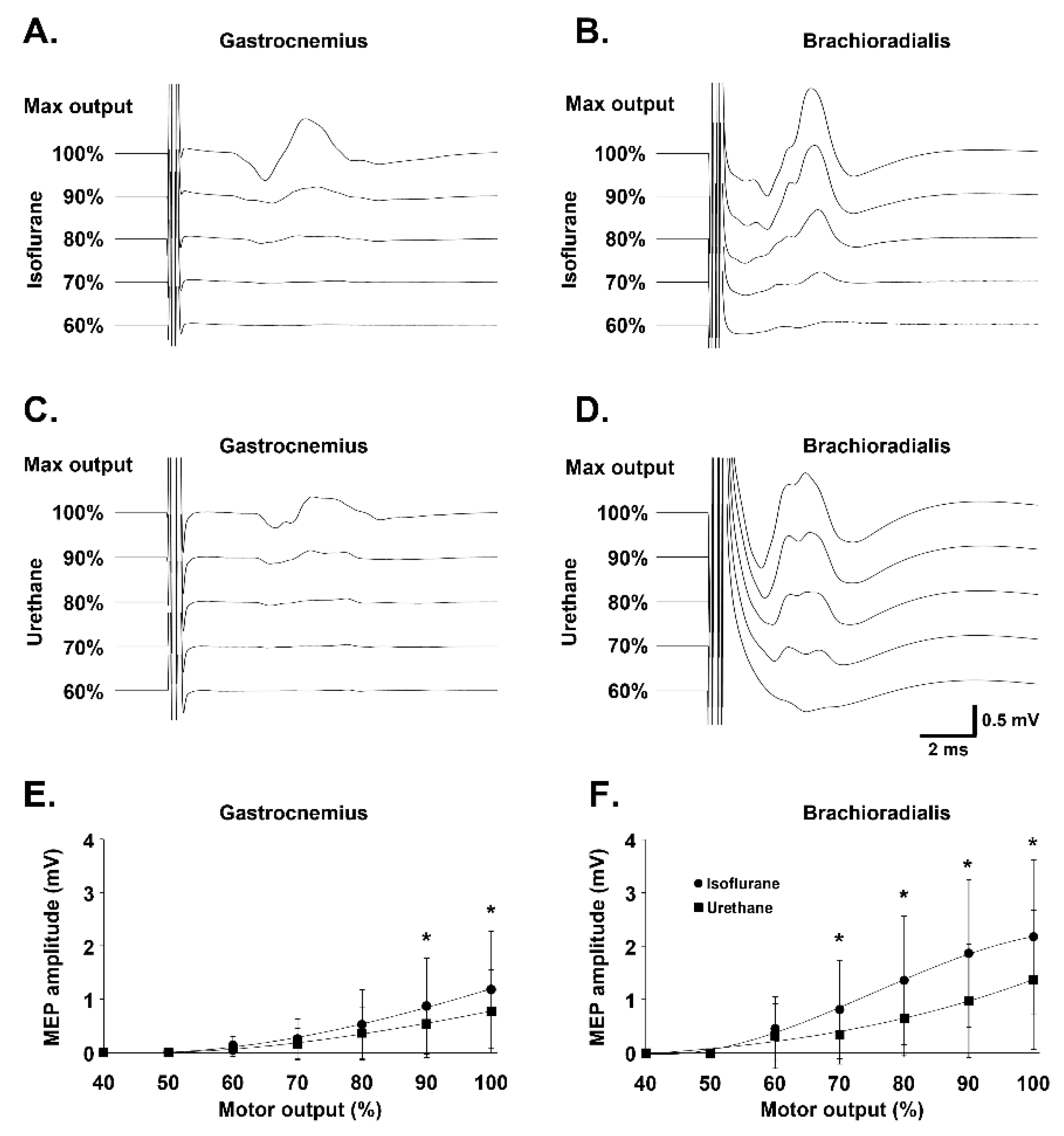 Biology 11 01834 g002 Biology 11 01834 g002