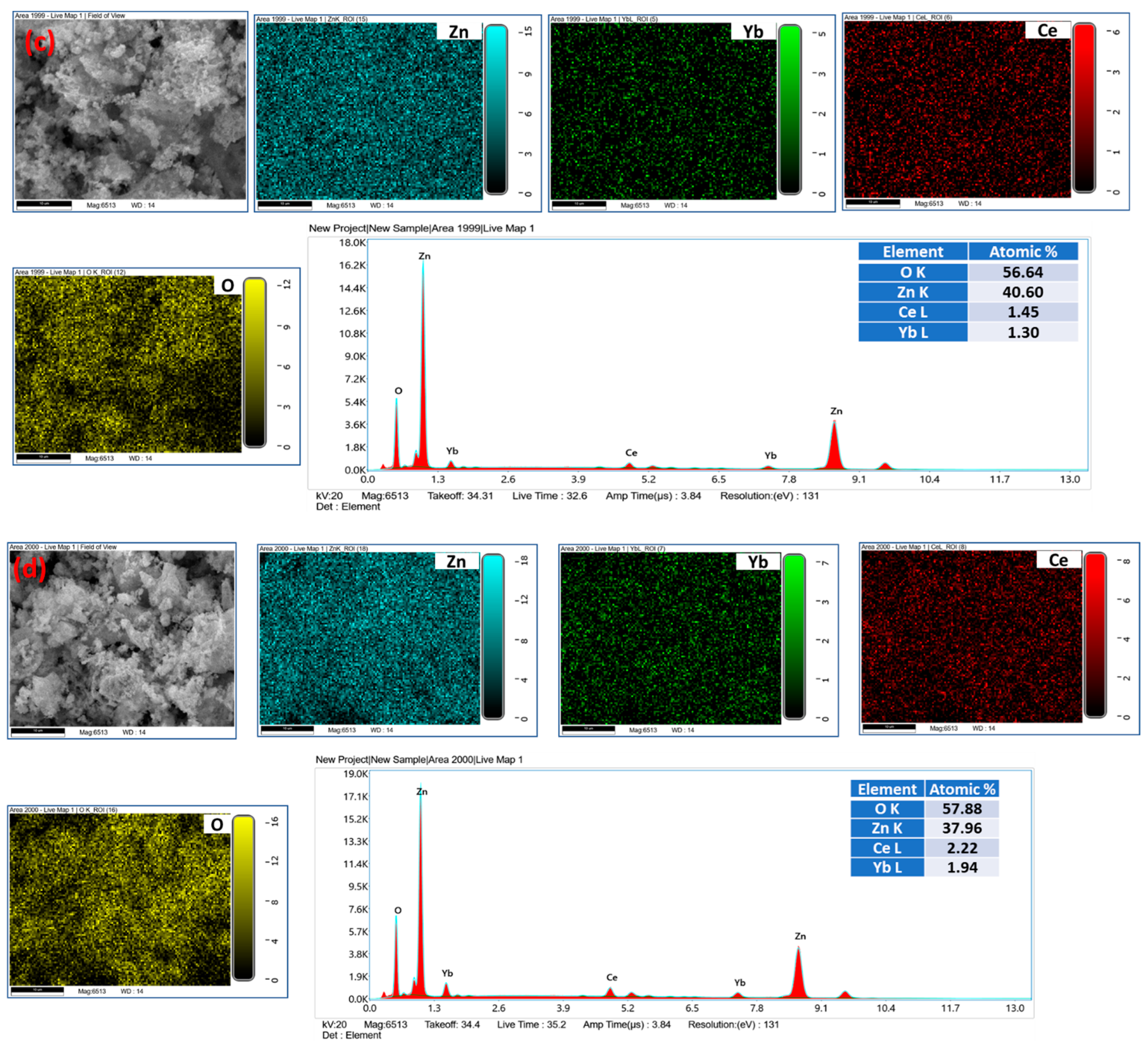 Biology 11 01836 g001b Biology 11 01836 g001b