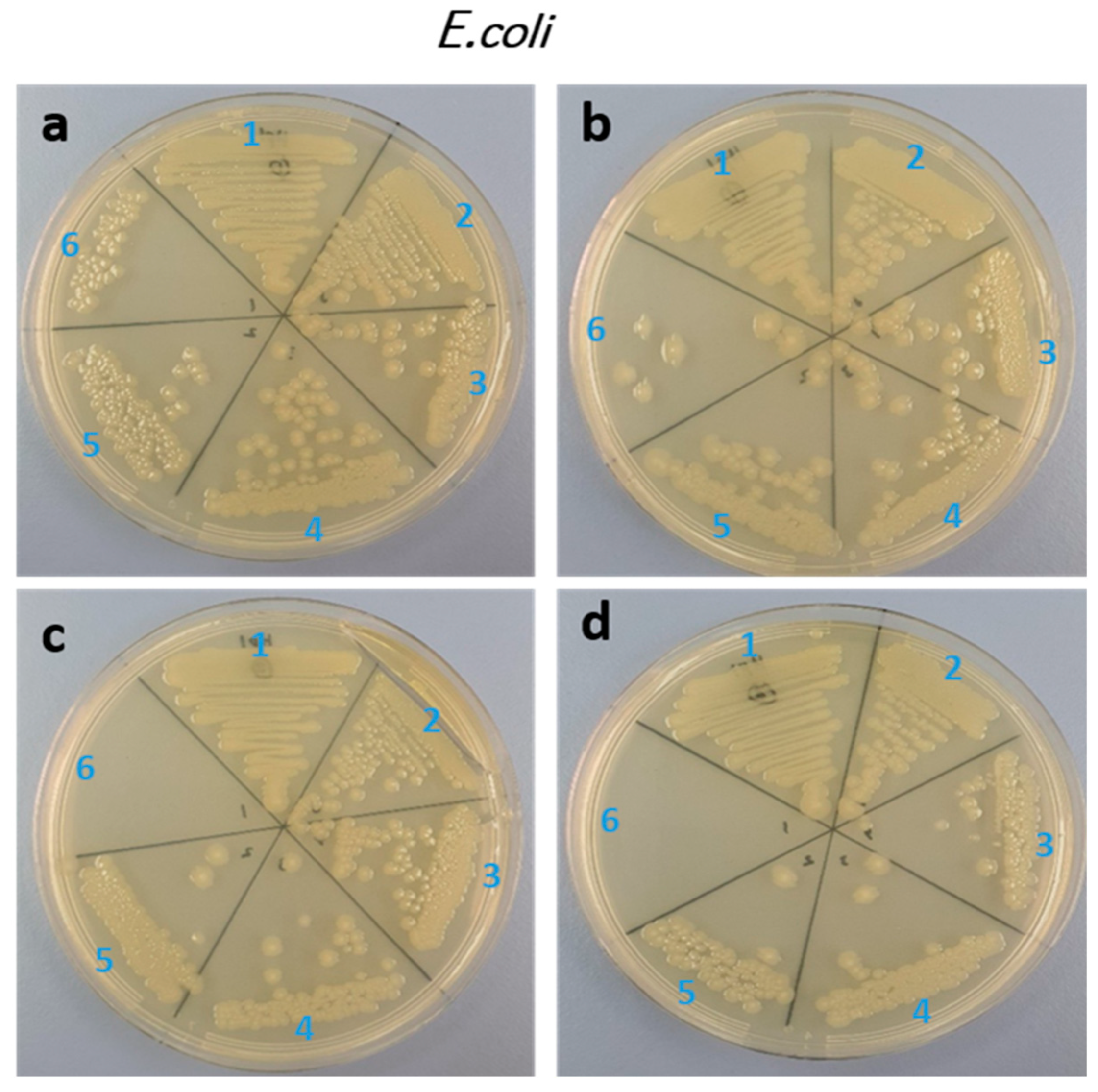 Biology 11 01836 g006 Biology 11 01836 g006