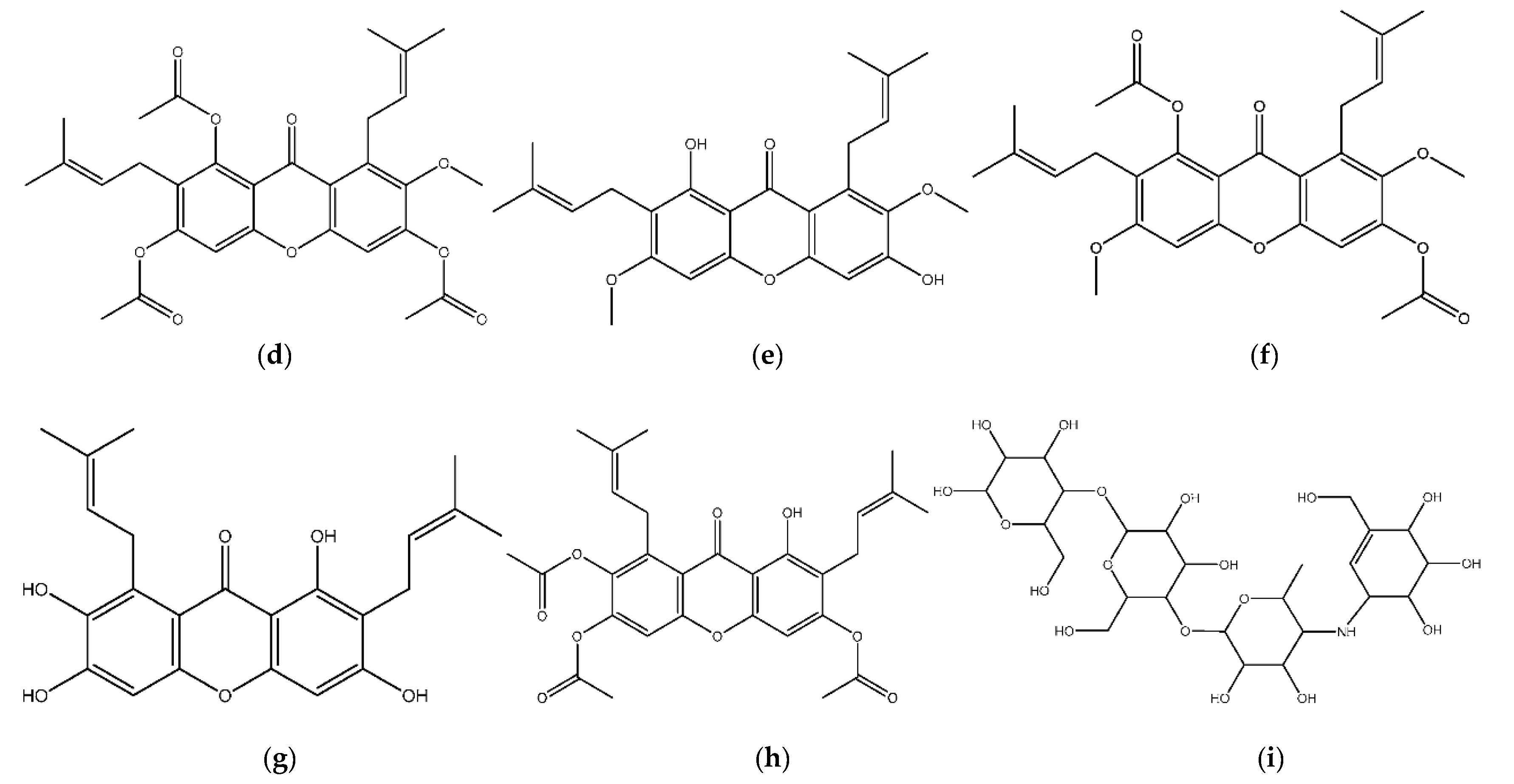 Biology 11 01837 g001b