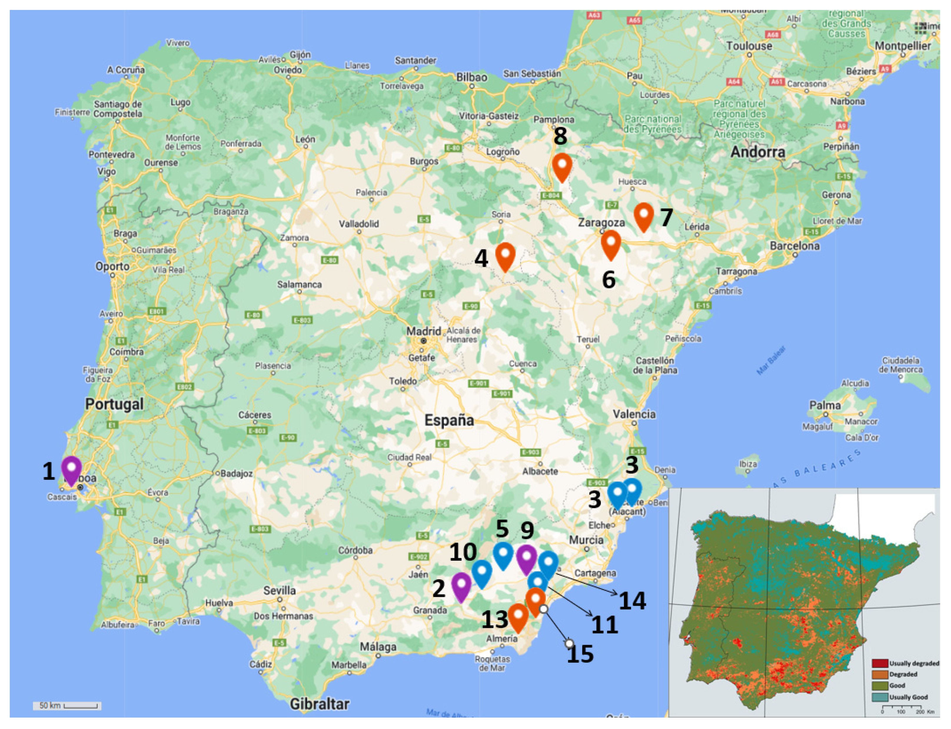 Biology 11 01838 g001 Biology 11 01838 g001