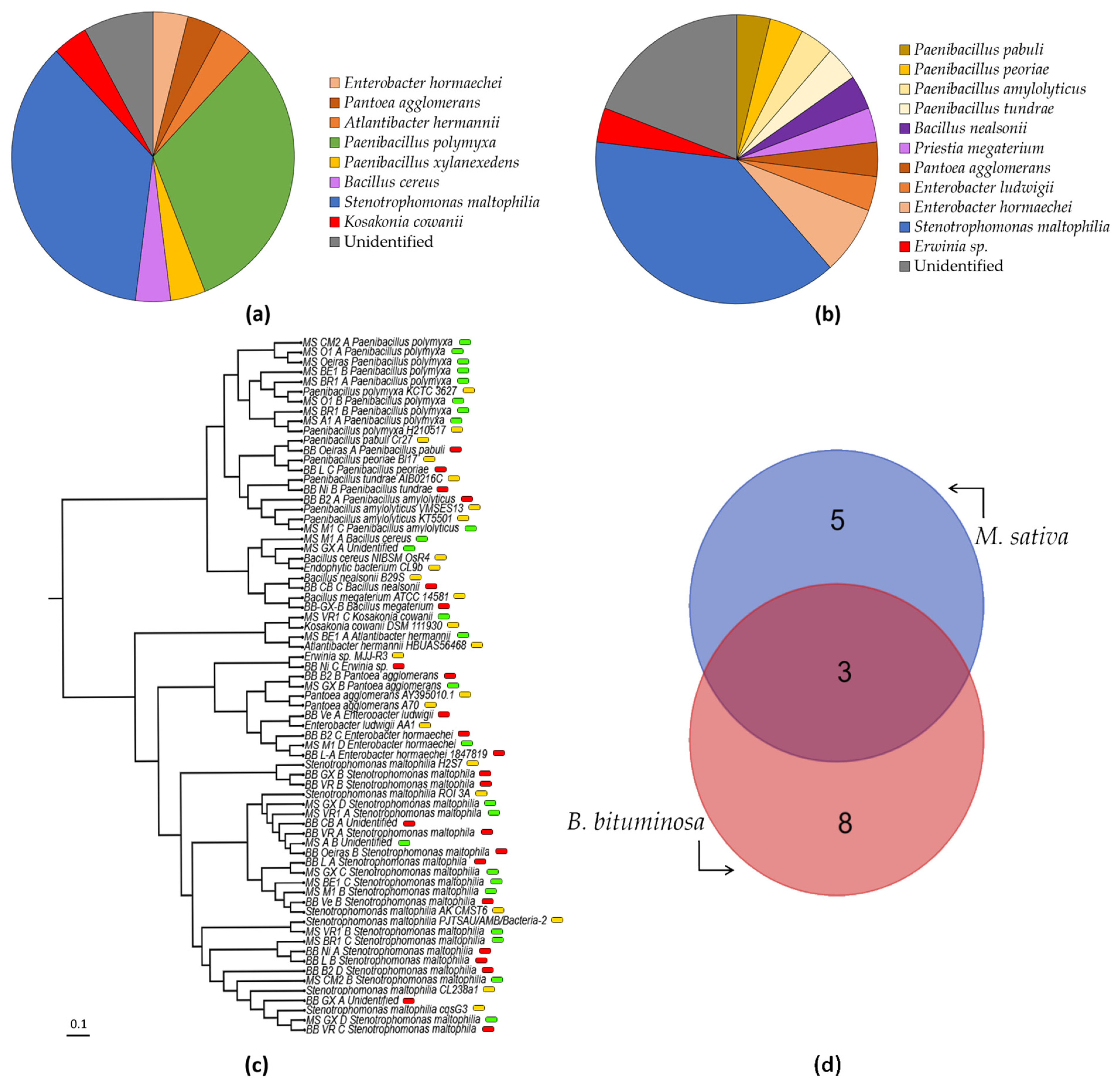 Biology 11 01838 g004 Biology 11 01838 g004