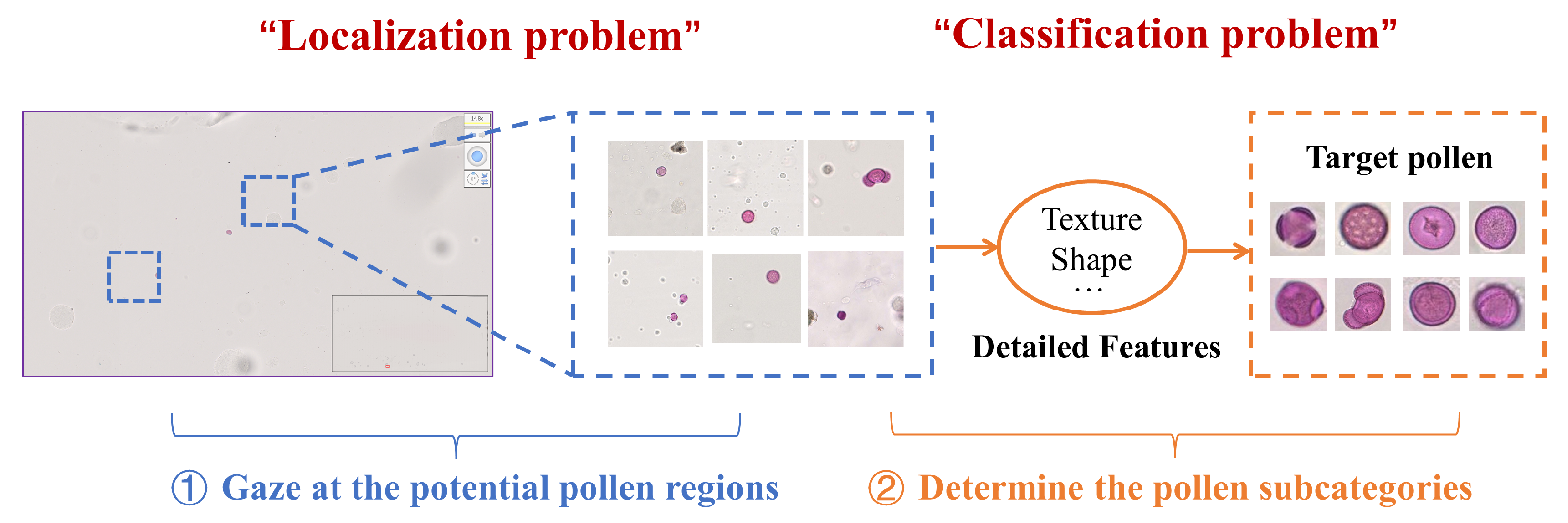 Biology 11 01841 g001
