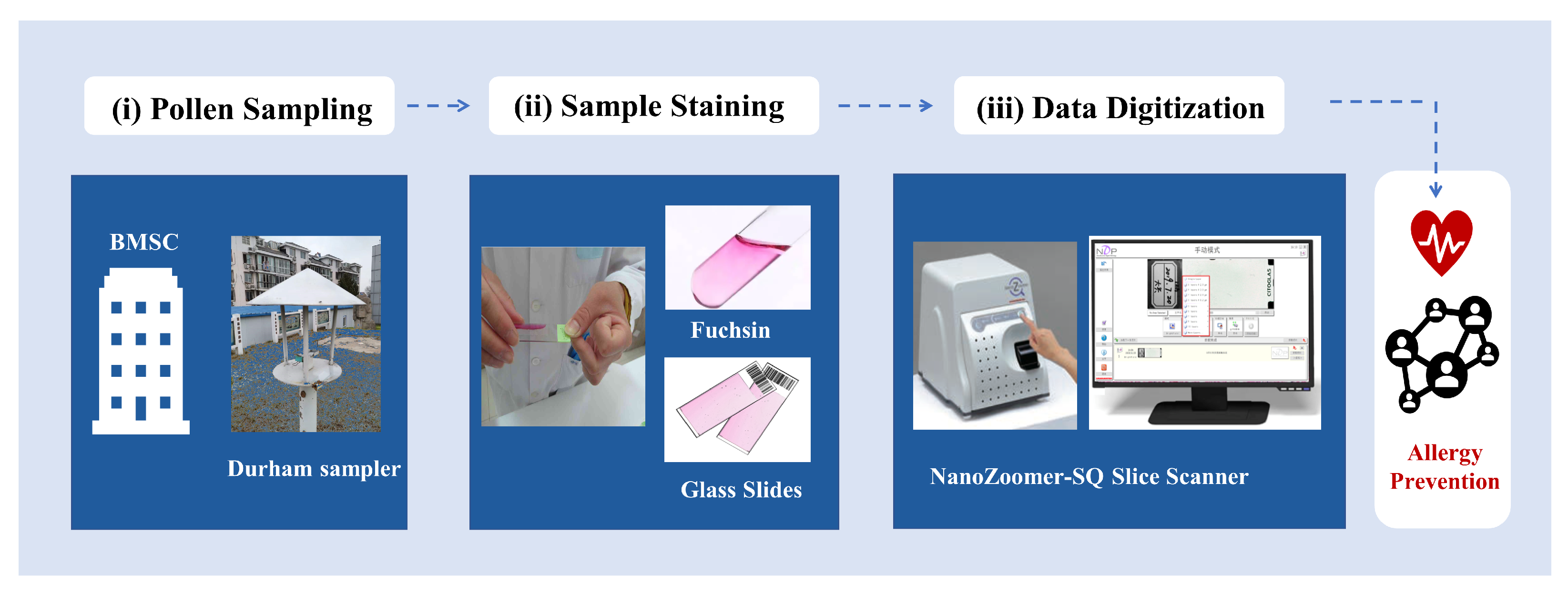 Biology 11 01841 g002