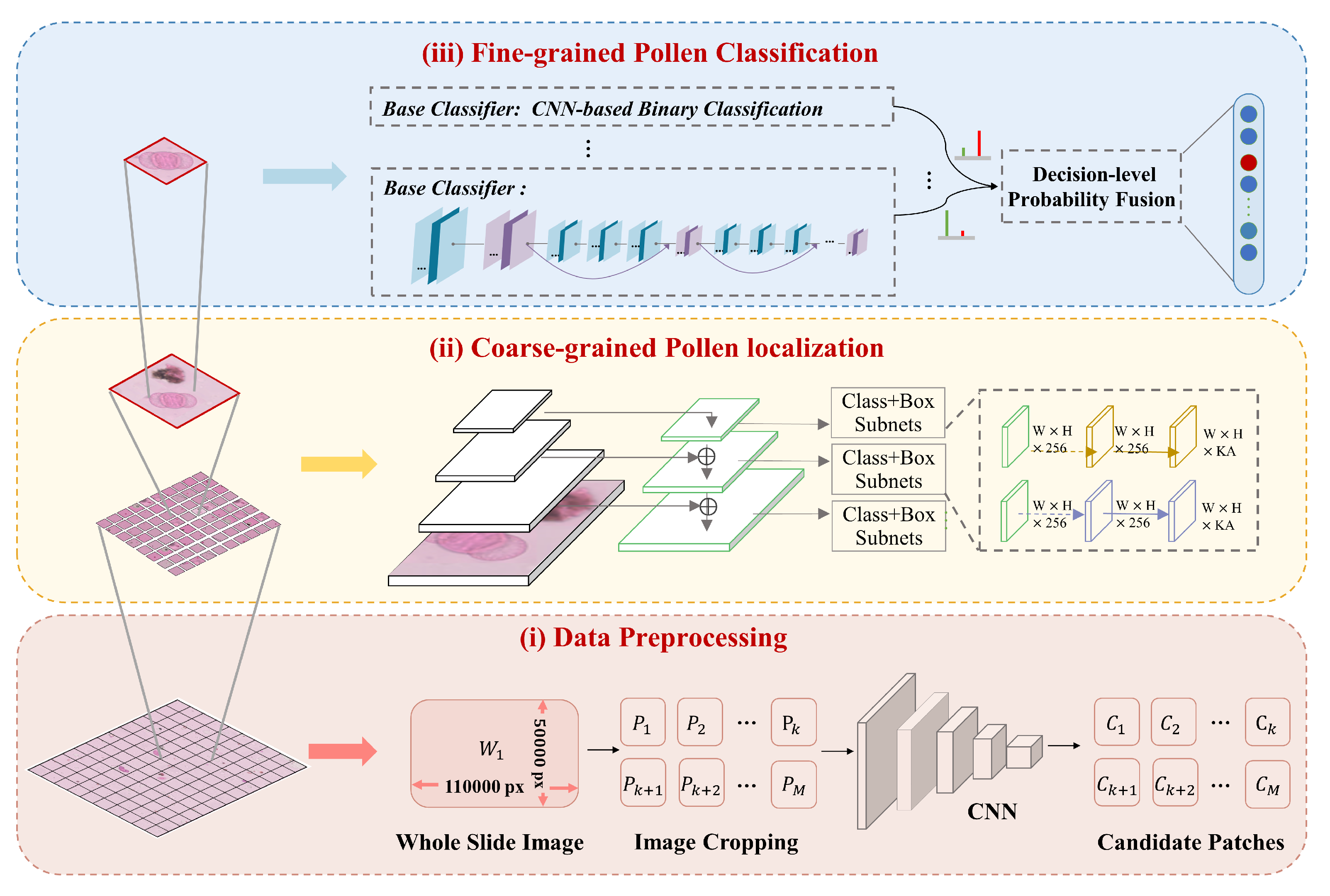 Biology 11 01841 g005