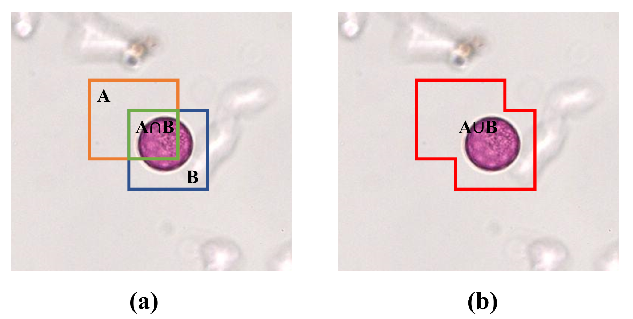 Biology 11 01841 g007