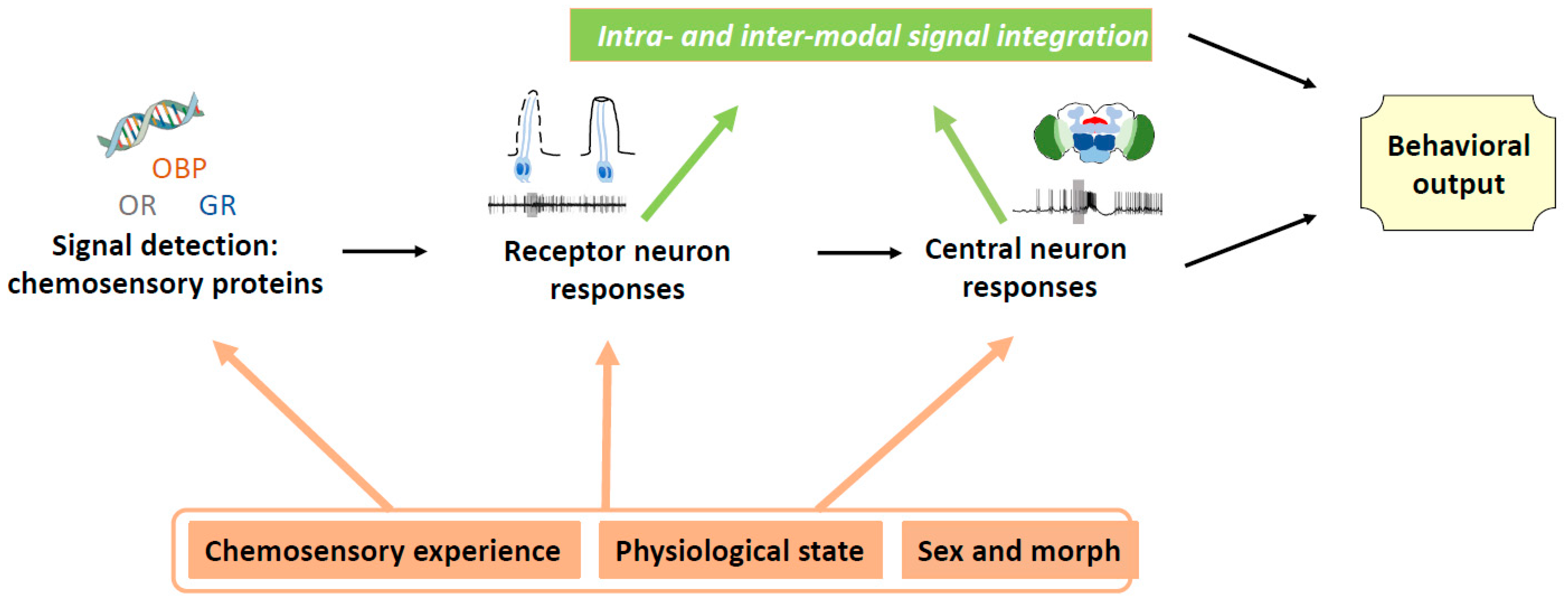 Biology 11 01842 g001 Biology 11 01842 g001
