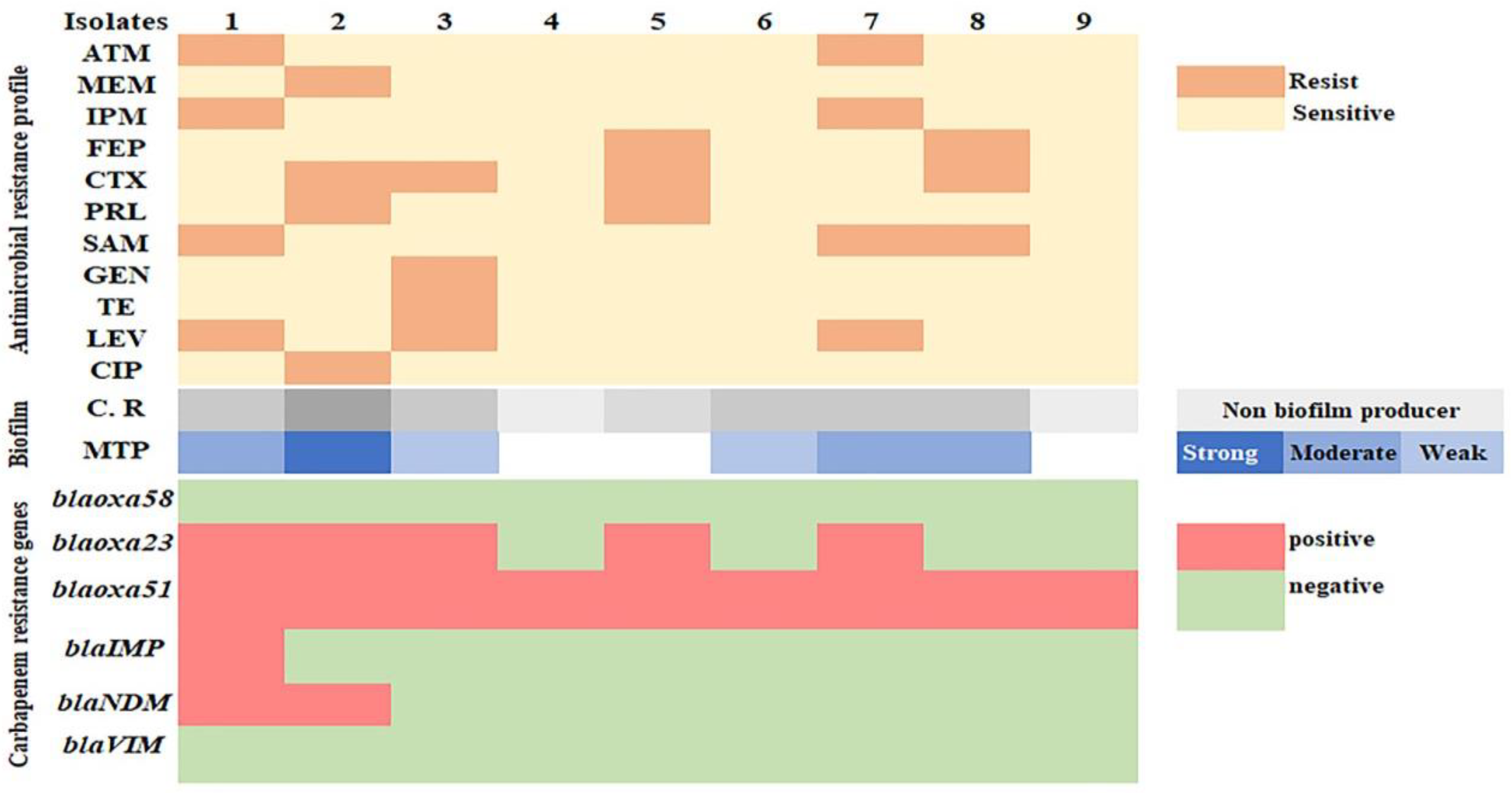 Biology 11 01845 g006 Biology 11 01845 g006