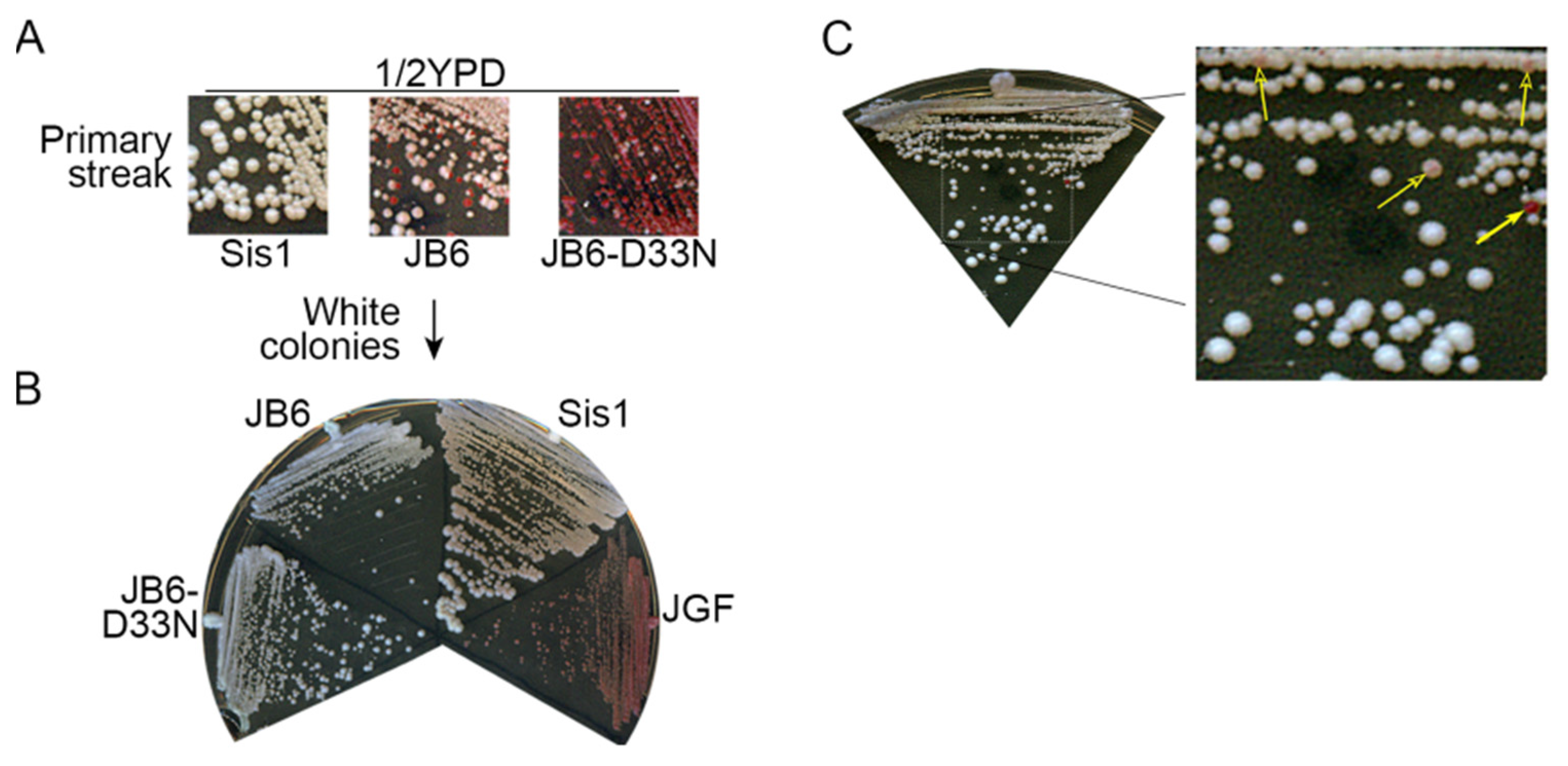 Biology 11 01846 g002 Biology 11 01846 g002