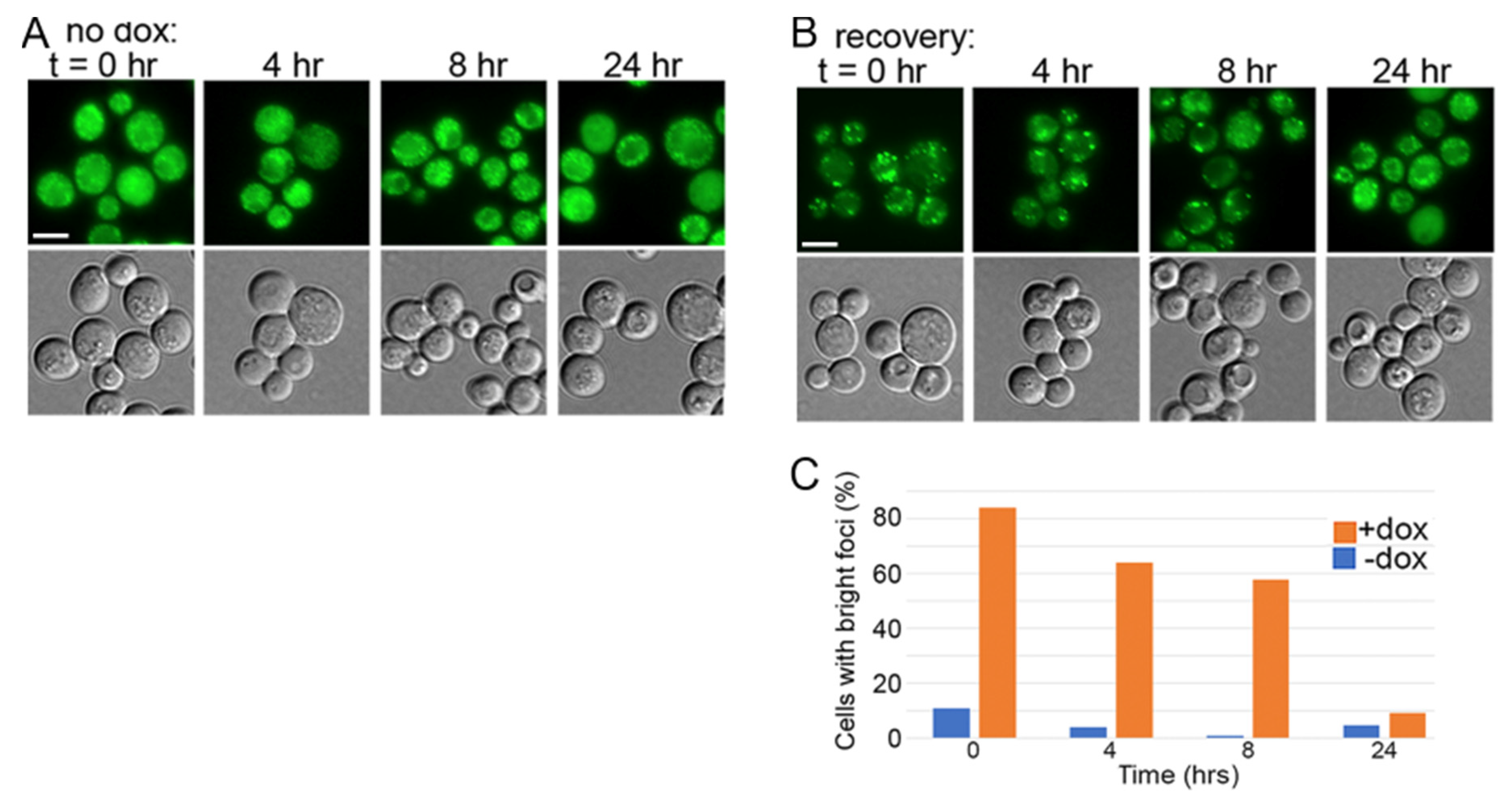 Biology 11 01846 g005 Biology 11 01846 g005