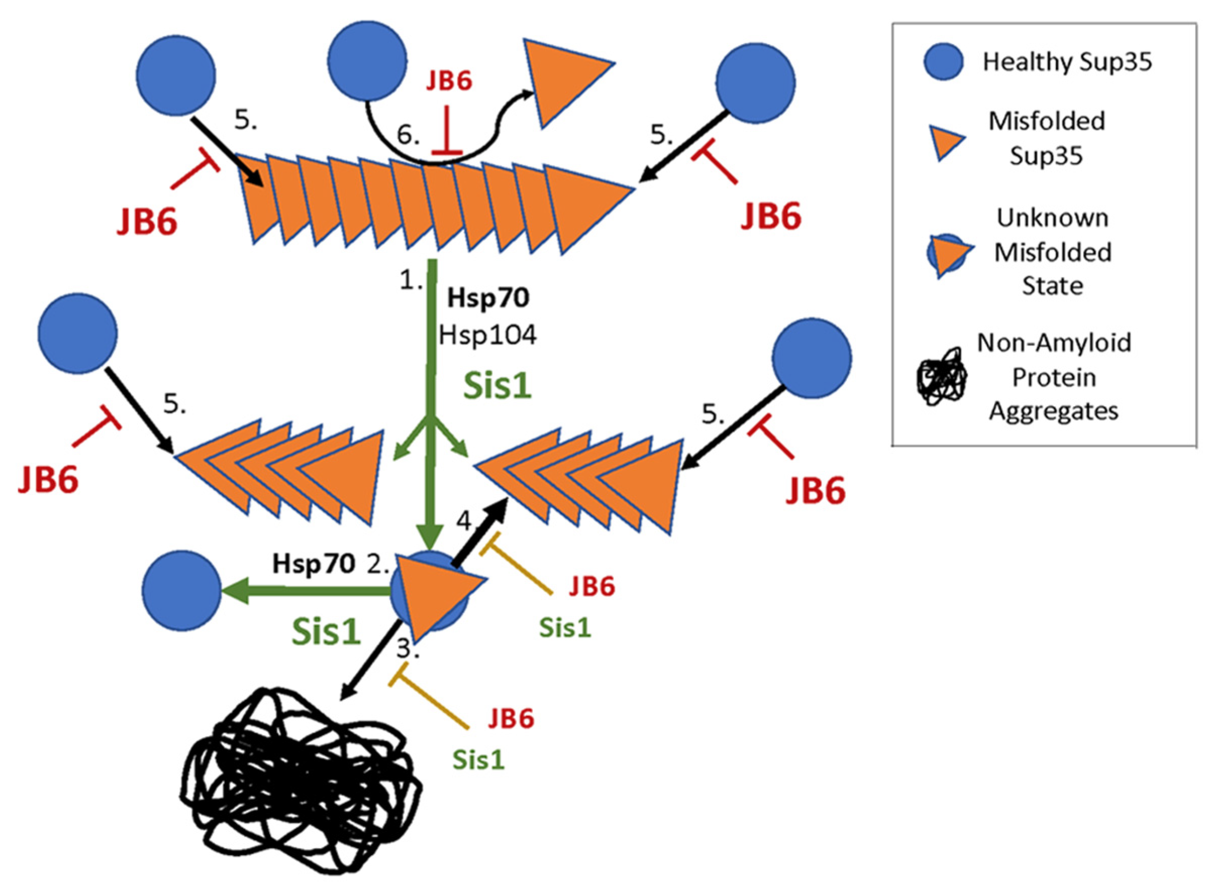 Biology 11 01846 g006 Biology 11 01846 g006