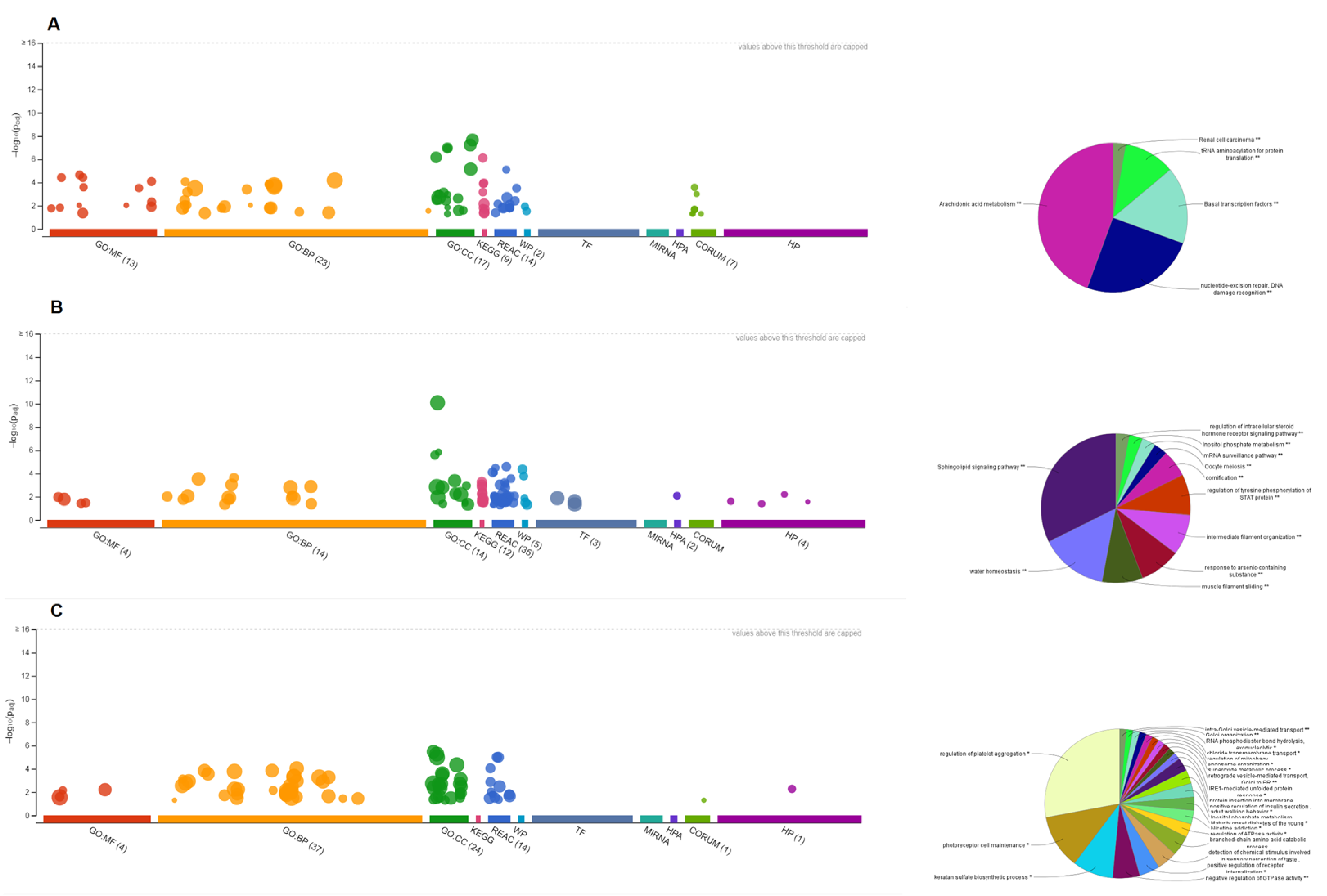 Biology 11 01851 g005 Biology 11 01851 g005