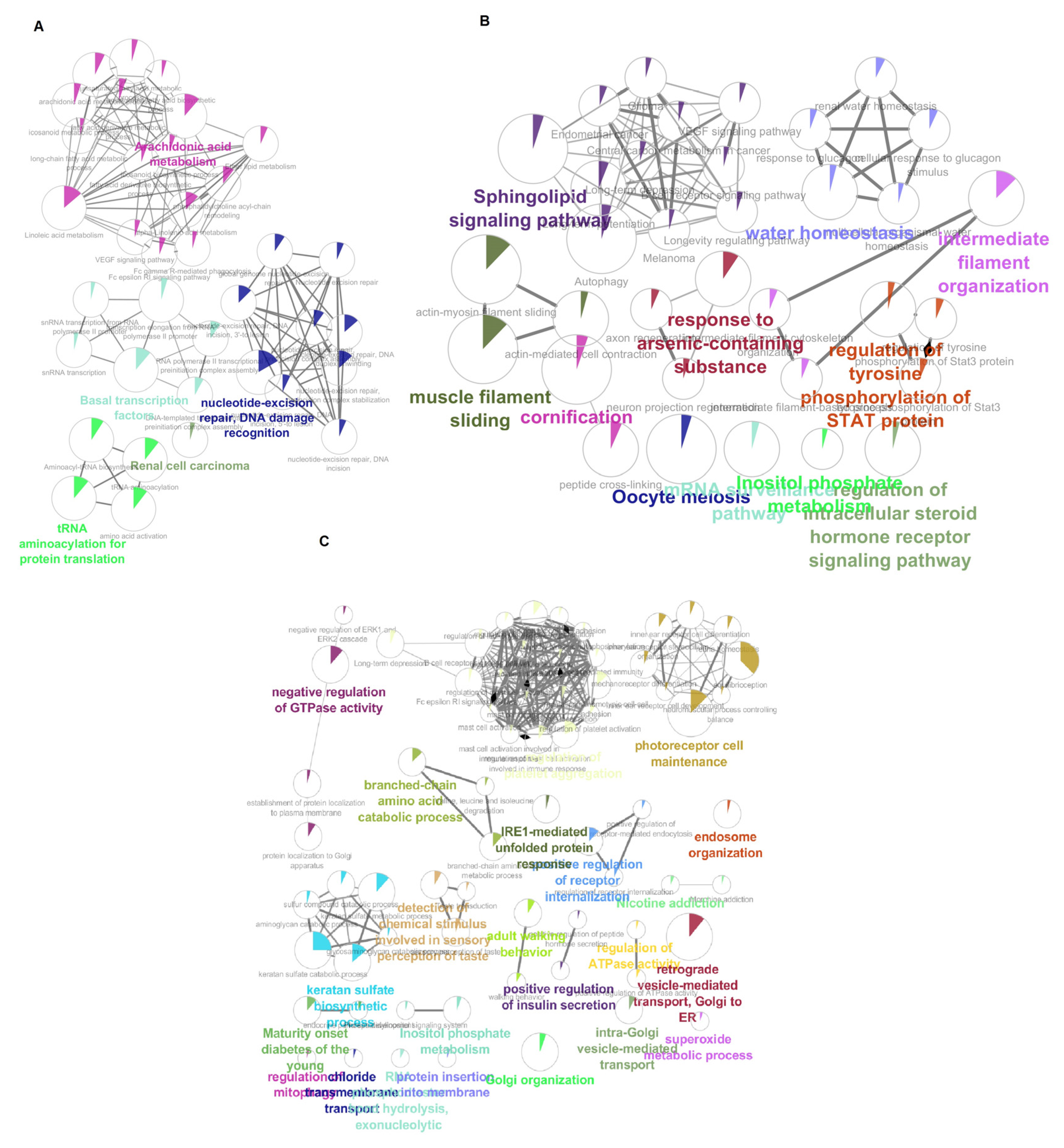 Biology 11 01851 g006 Biology 11 01851 g006
