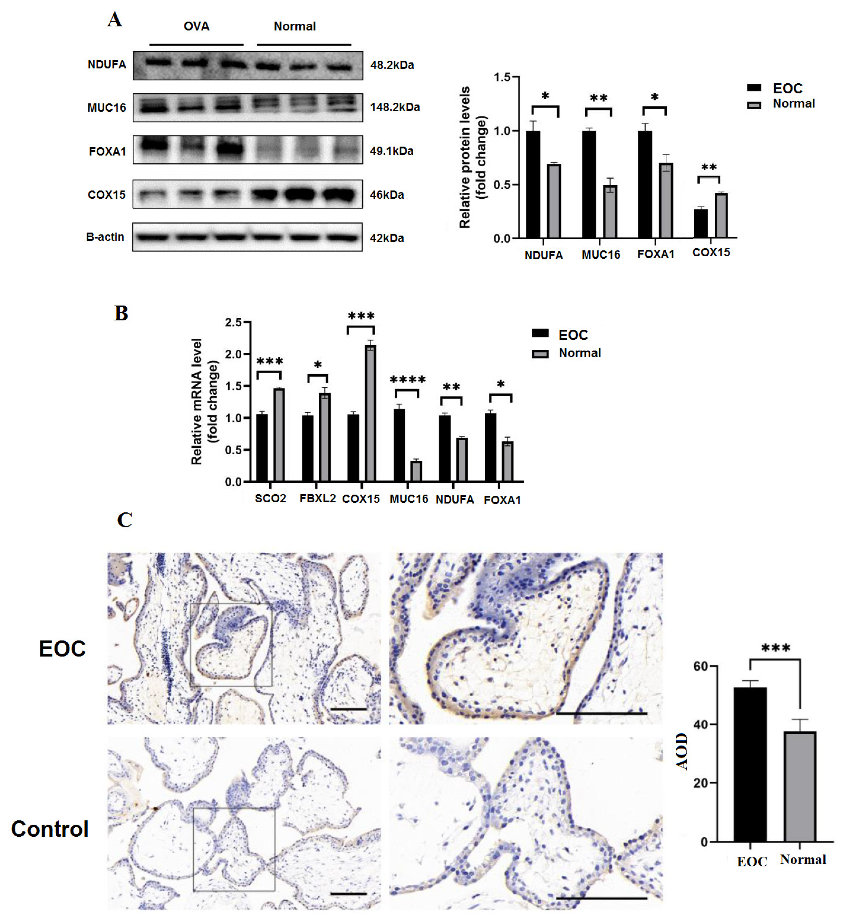 Biology 11 01851 g009 Biology 11 01851 g009