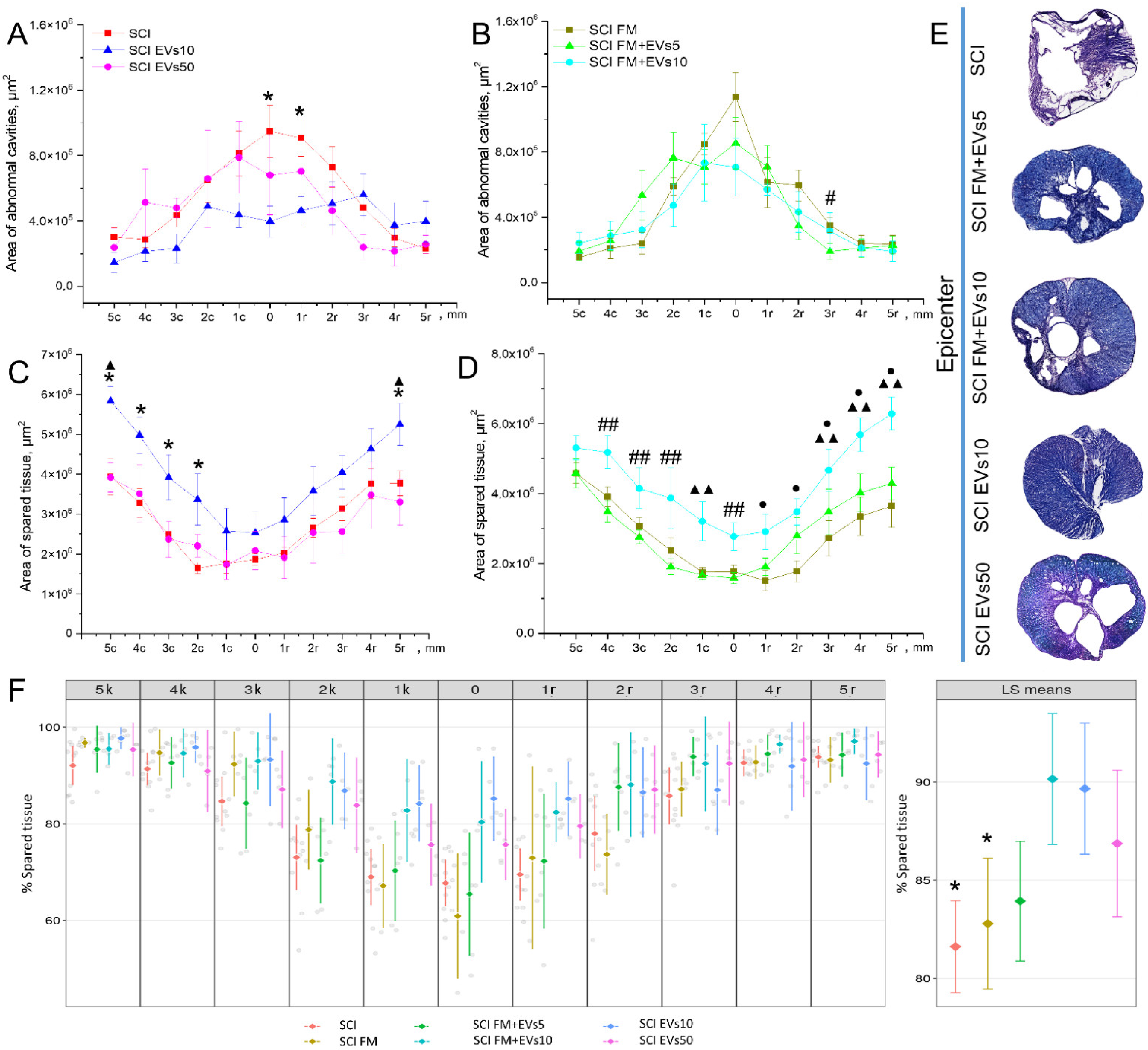 Biology 11 01853 g003