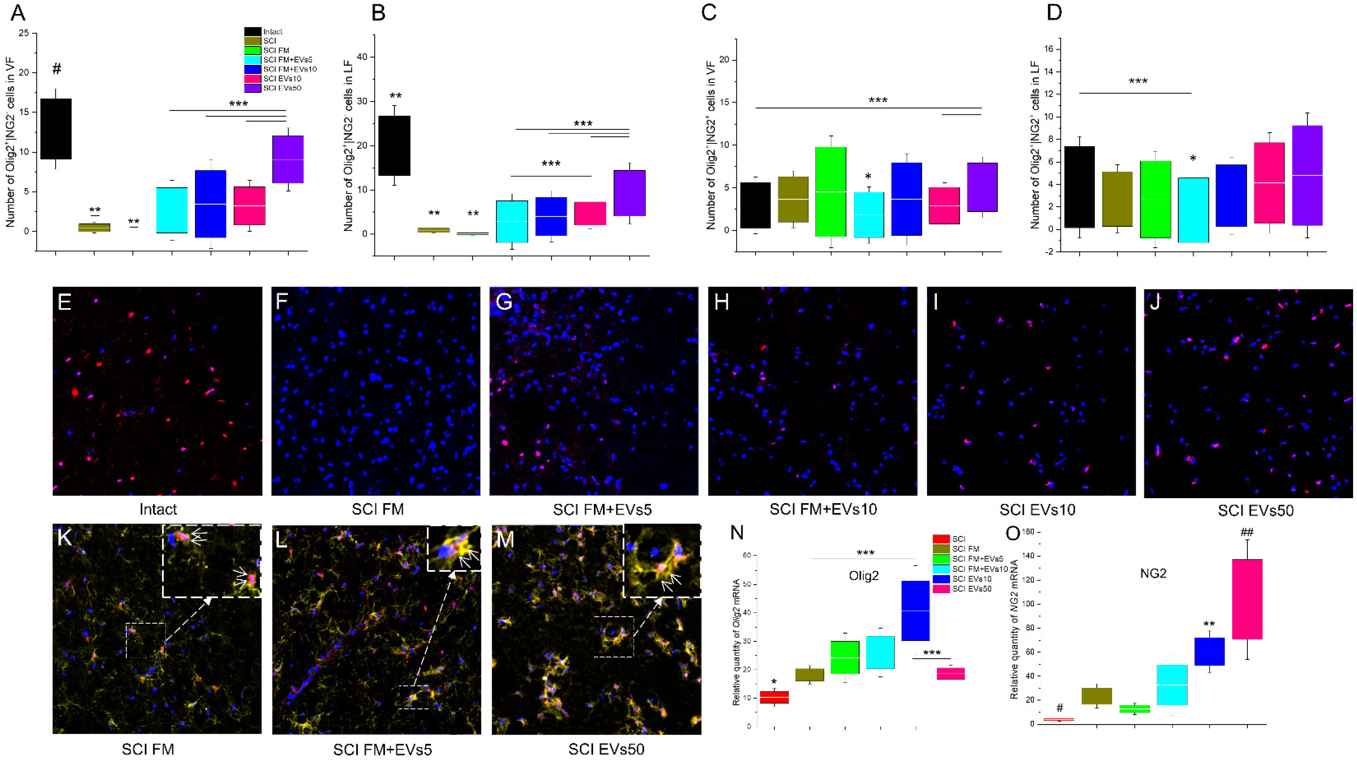 Biology 11 01853 g004