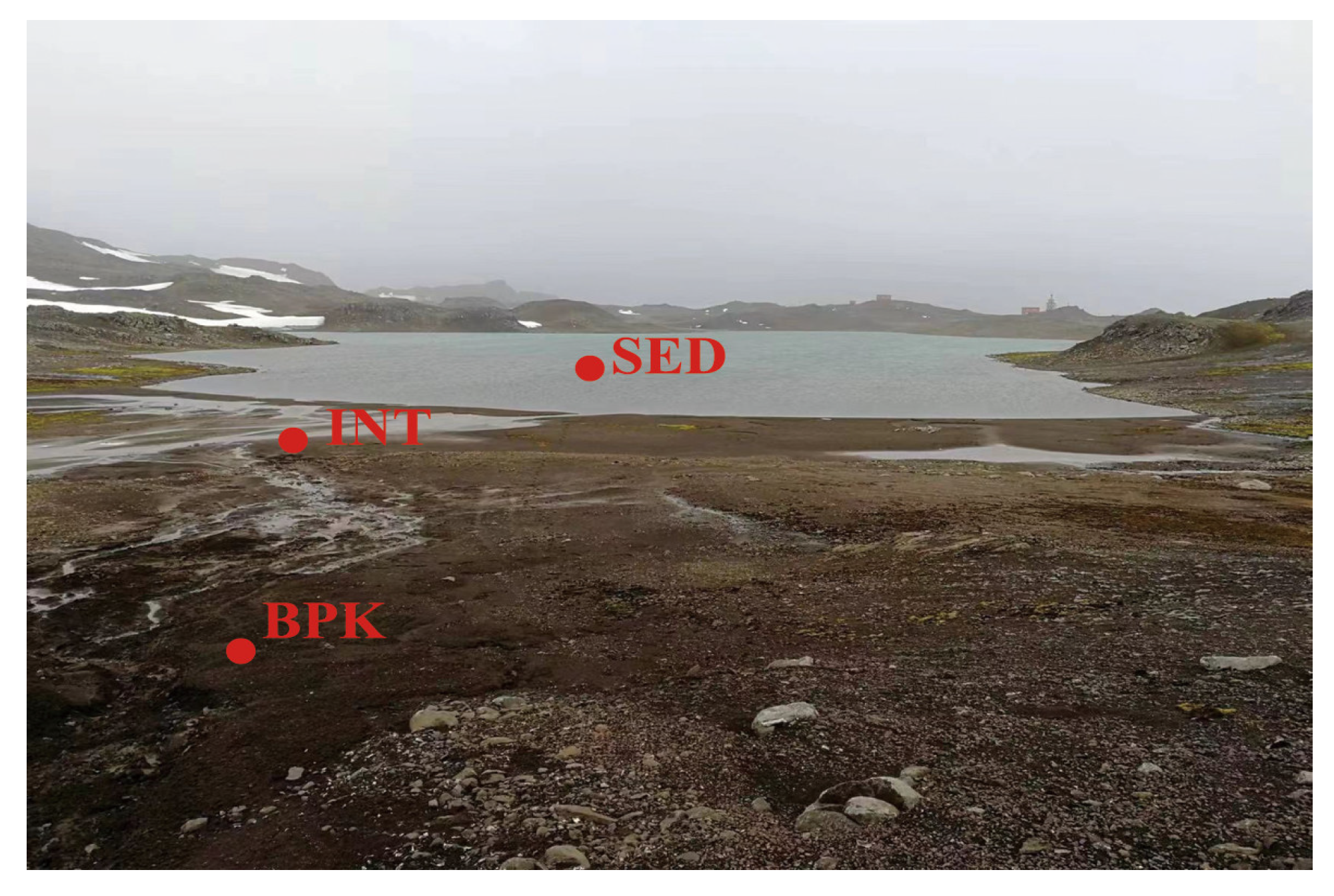 Biology 11 01855 g001