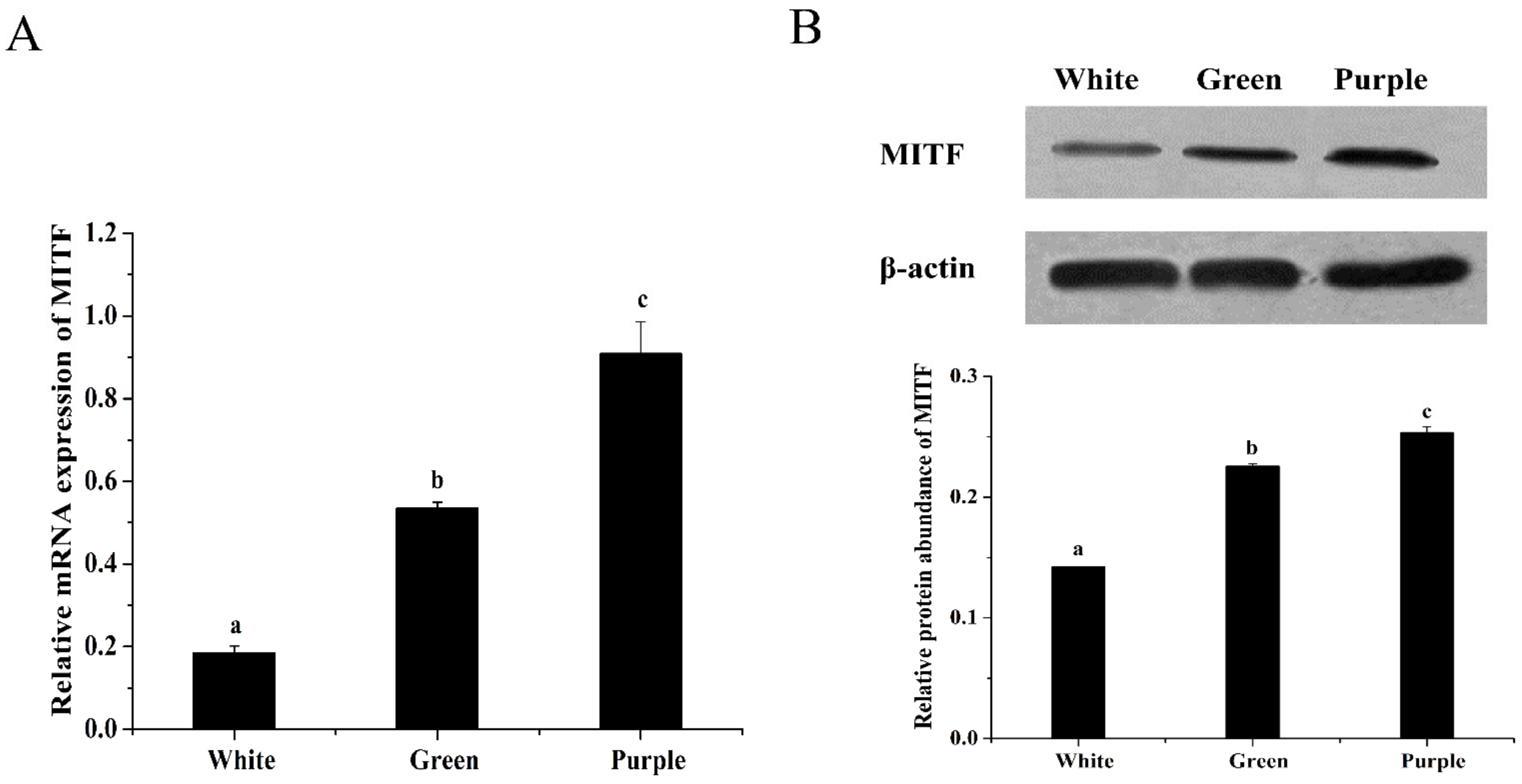 Biology 12 00001 g001