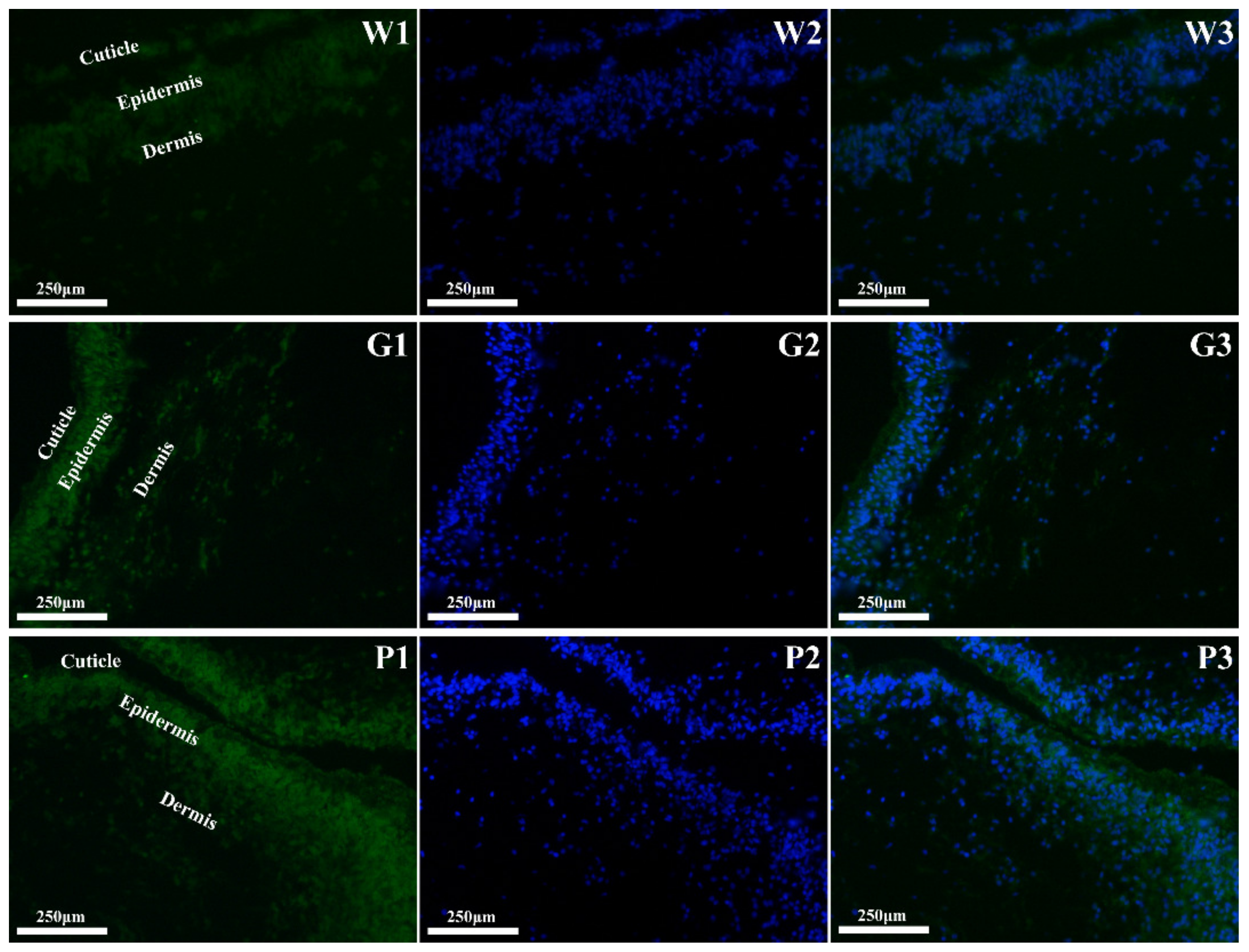 Biology 12 00001 g002