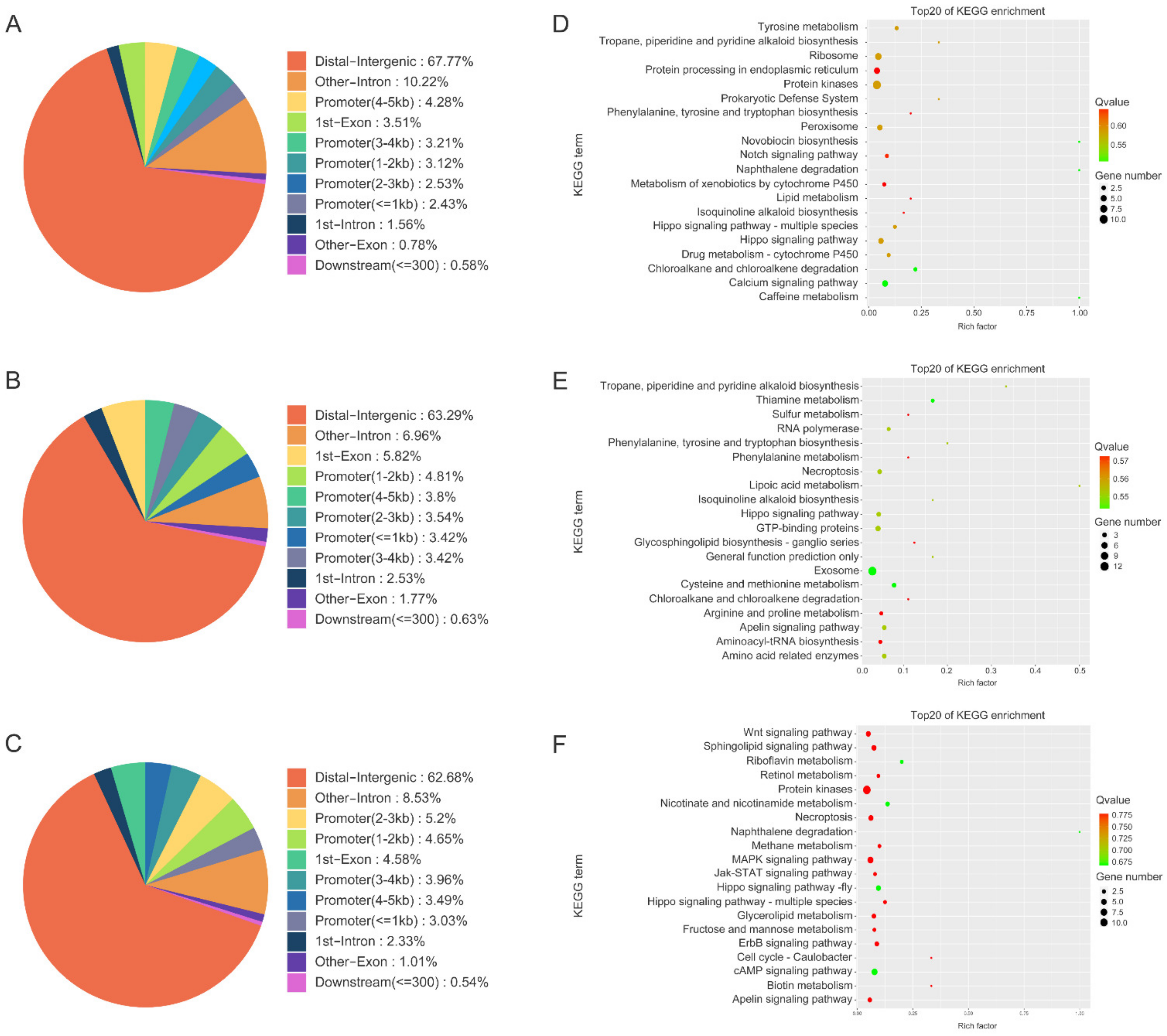 Biology 12 00001 g003