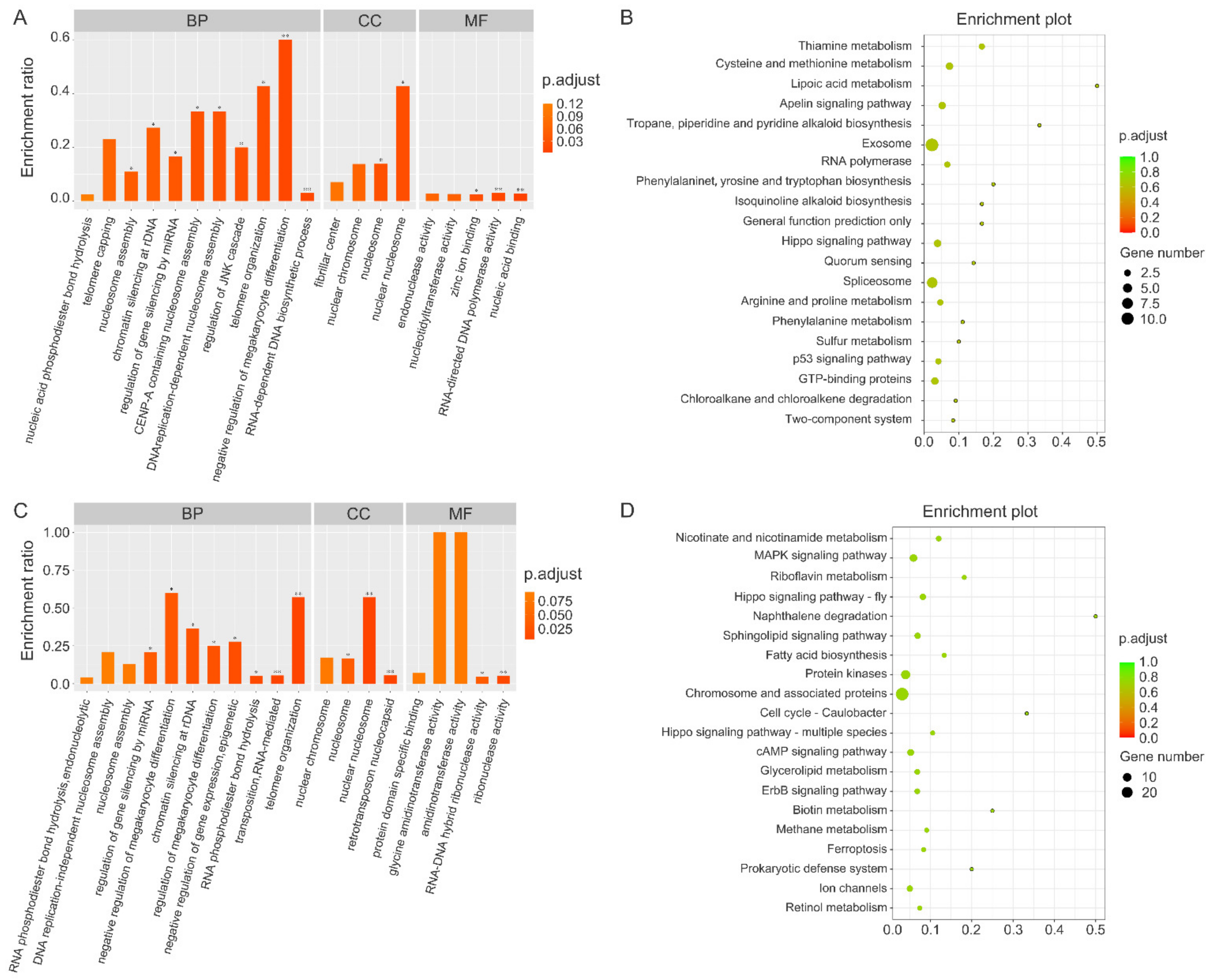 Biology 12 00001 g004