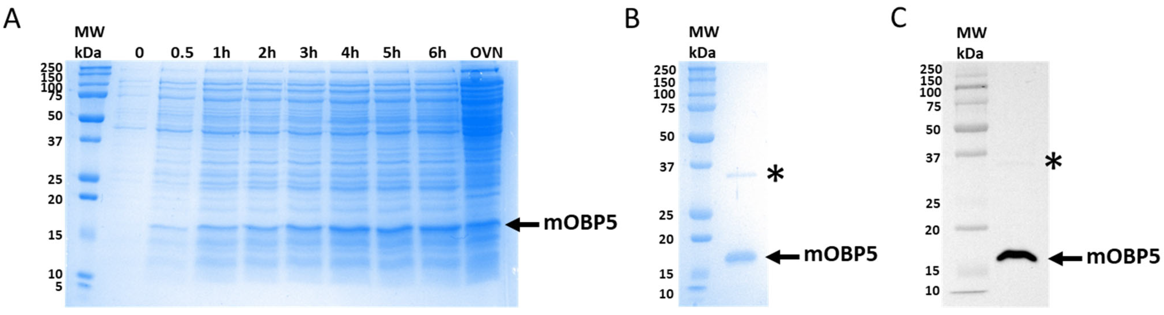 Biology 12 00002 g001 Biology 12 00002 g001