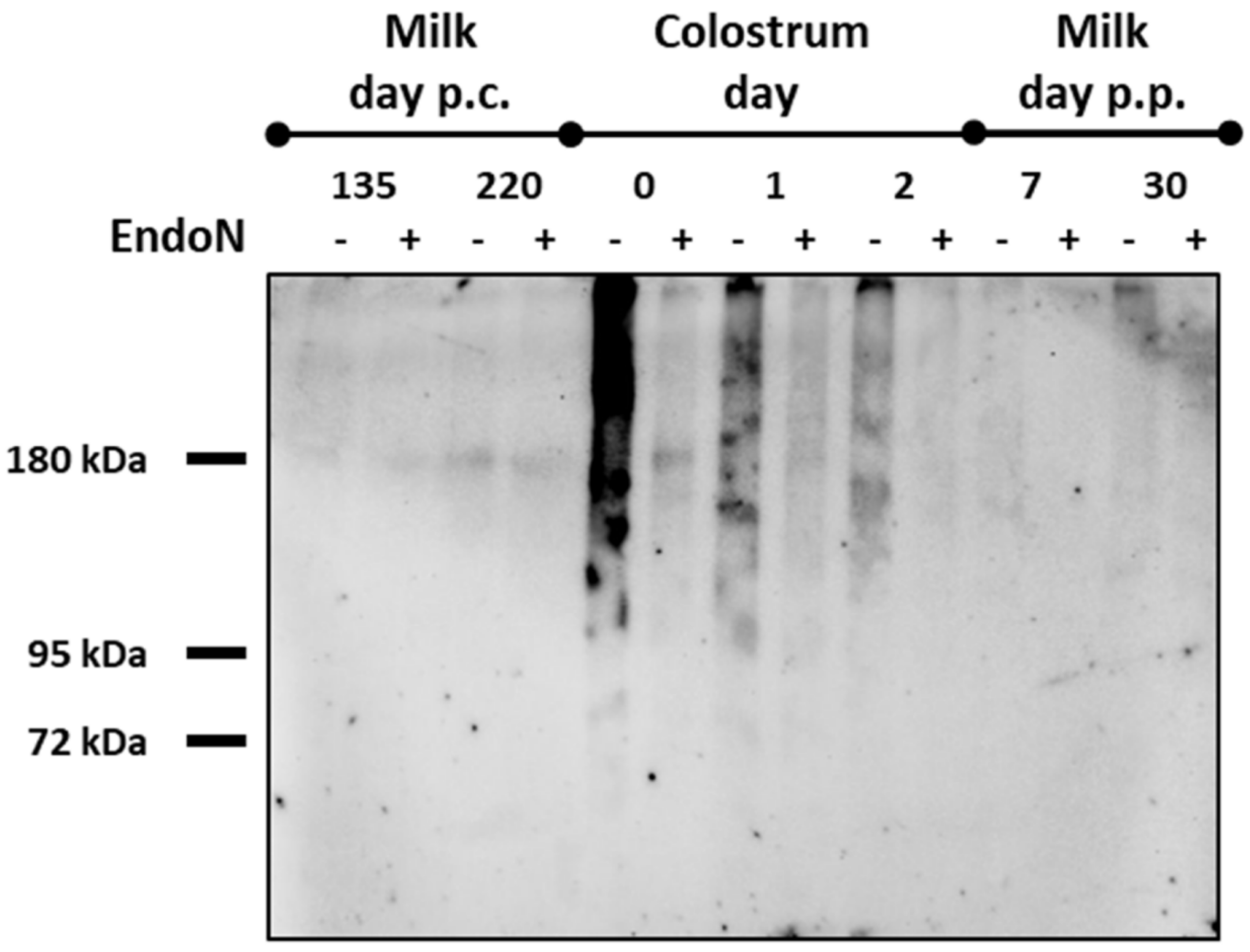 Biology 12 00005 g002 Biology 12 00005 g002