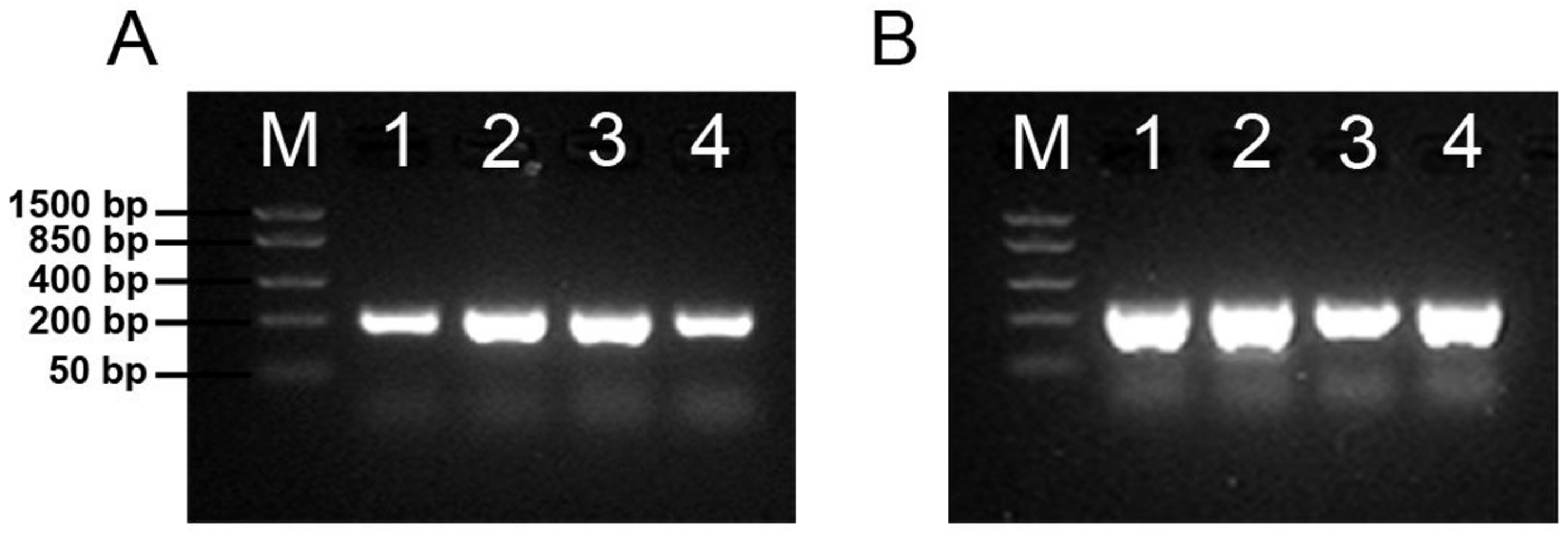 Biology 12 00005 g003 Biology 12 00005 g003