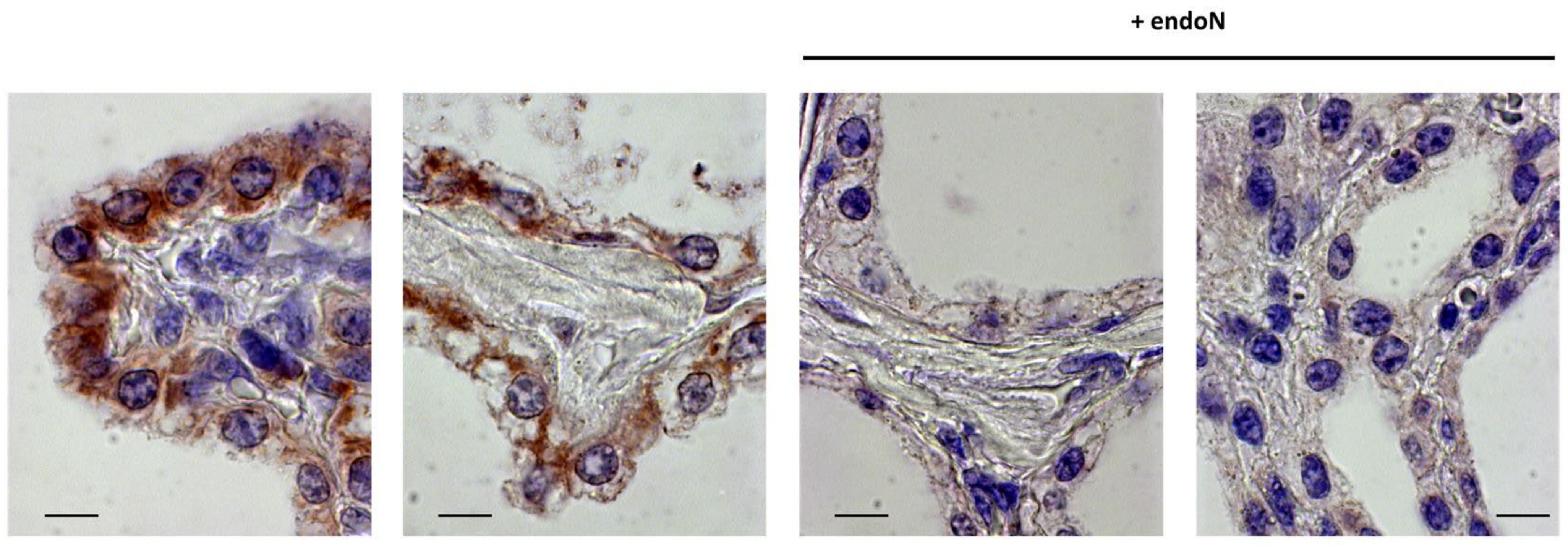 Biology 12 00005 g004 Biology 12 00005 g004