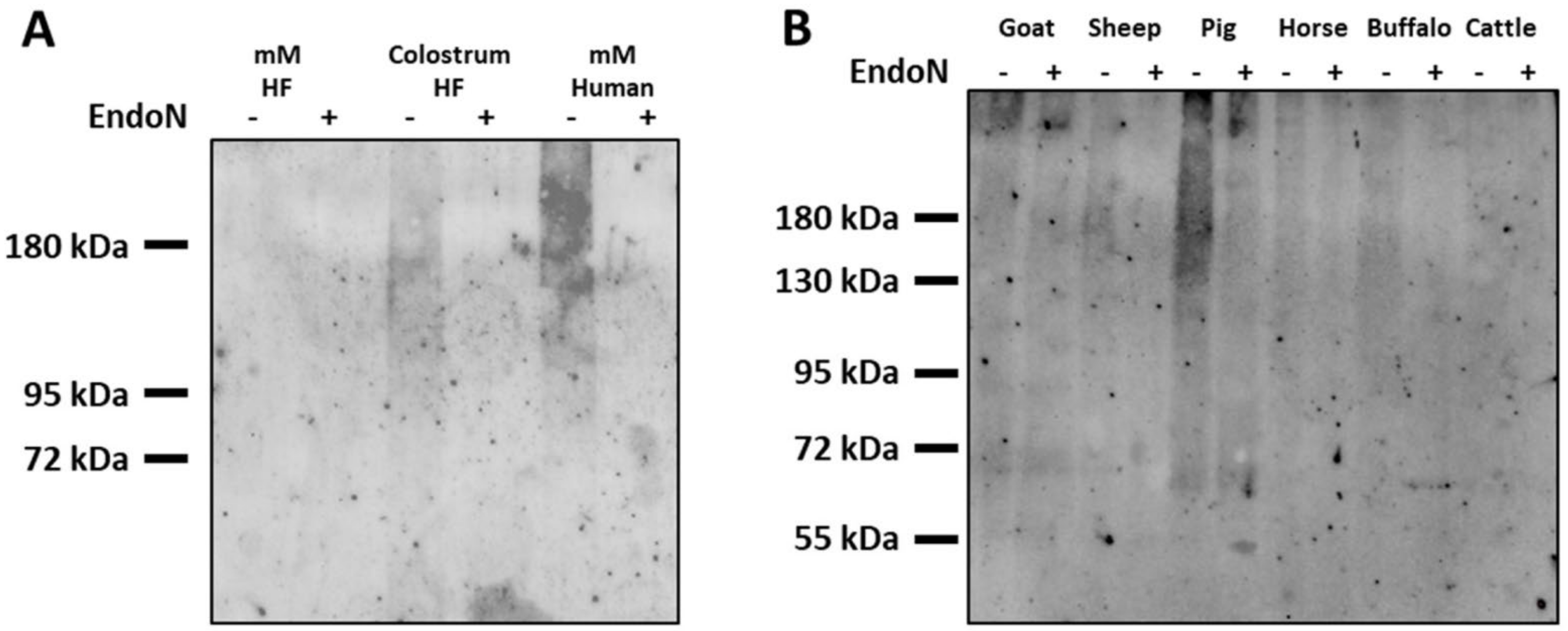 Biology 12 00005 g005 Biology 12 00005 g005
