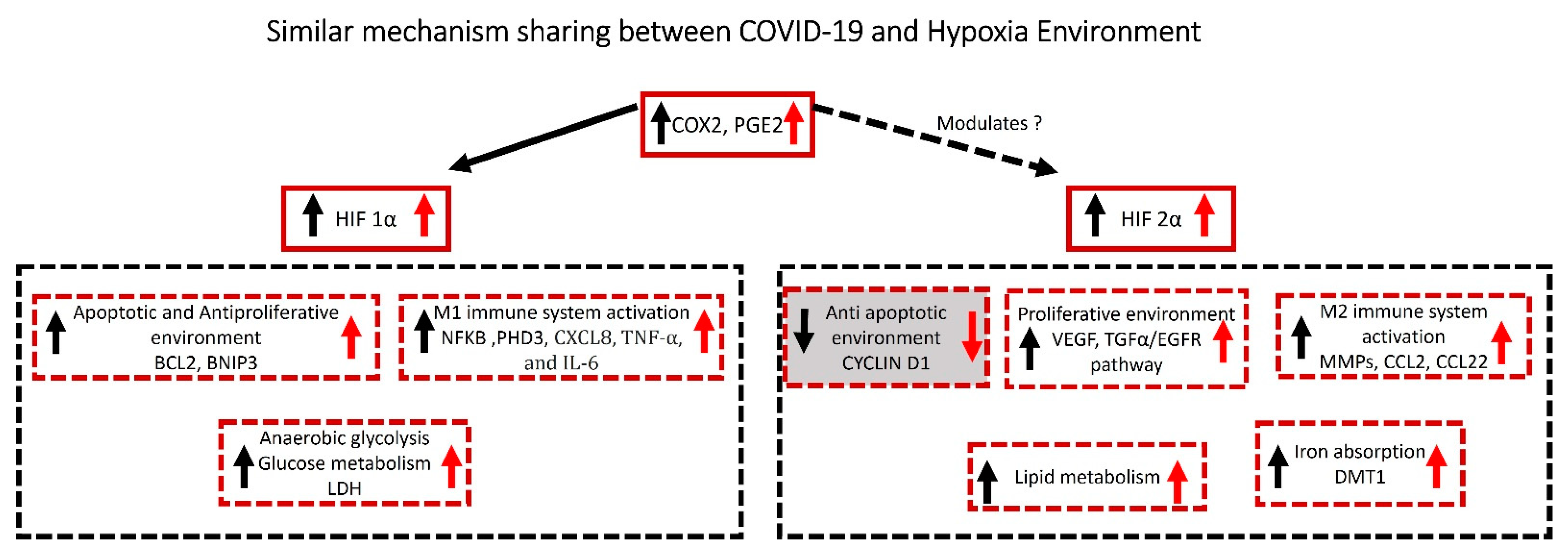 Biology 12 00006 g001