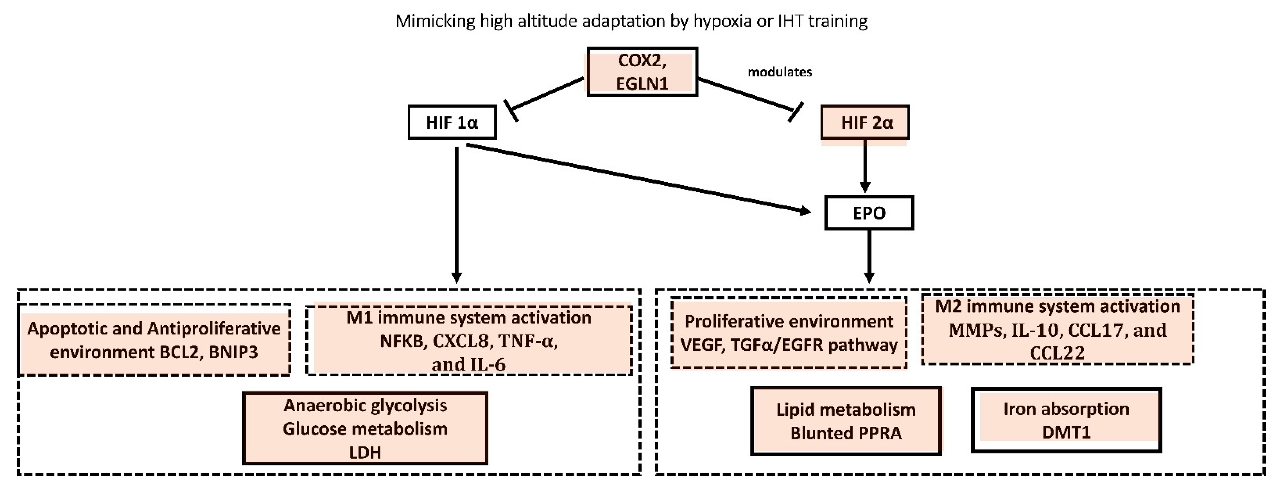 Biology 12 00006 g002