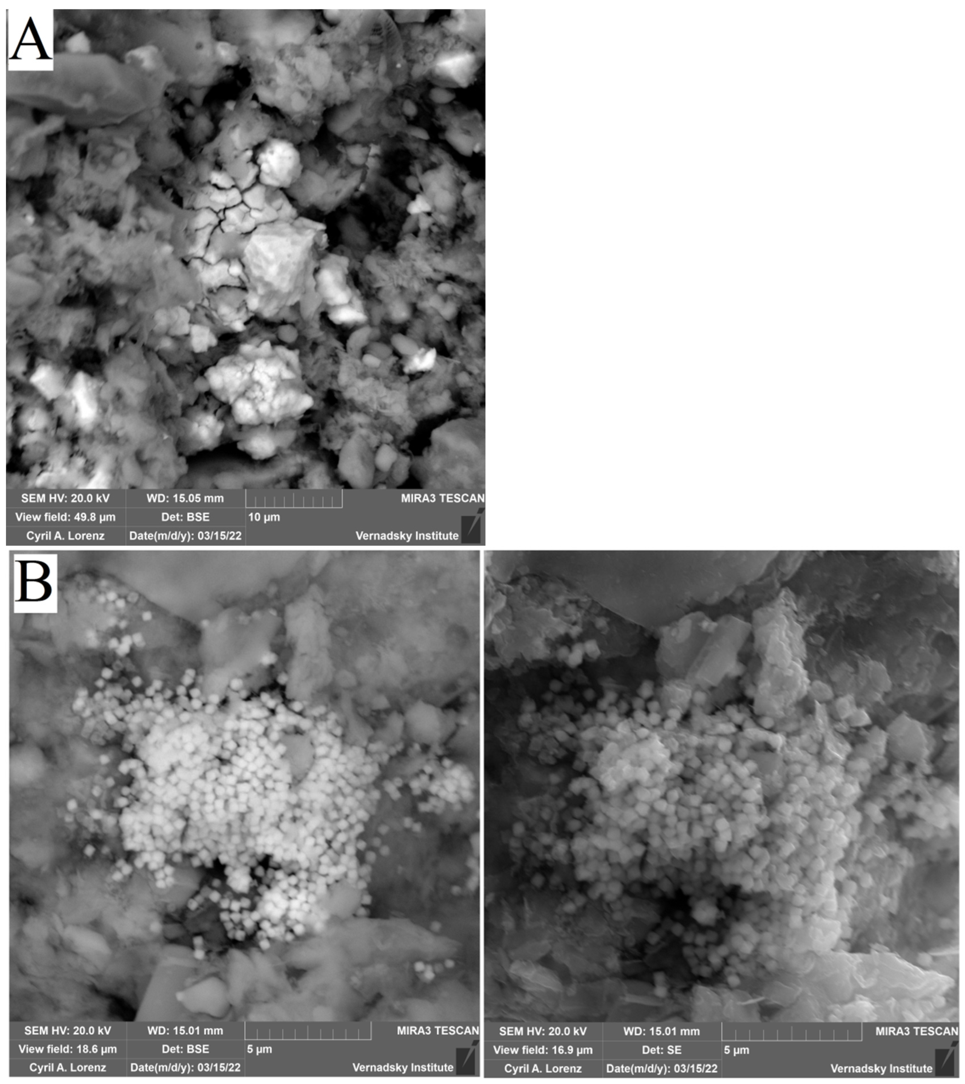Biology 12 00010 g010a Biology 12 00010 g010a