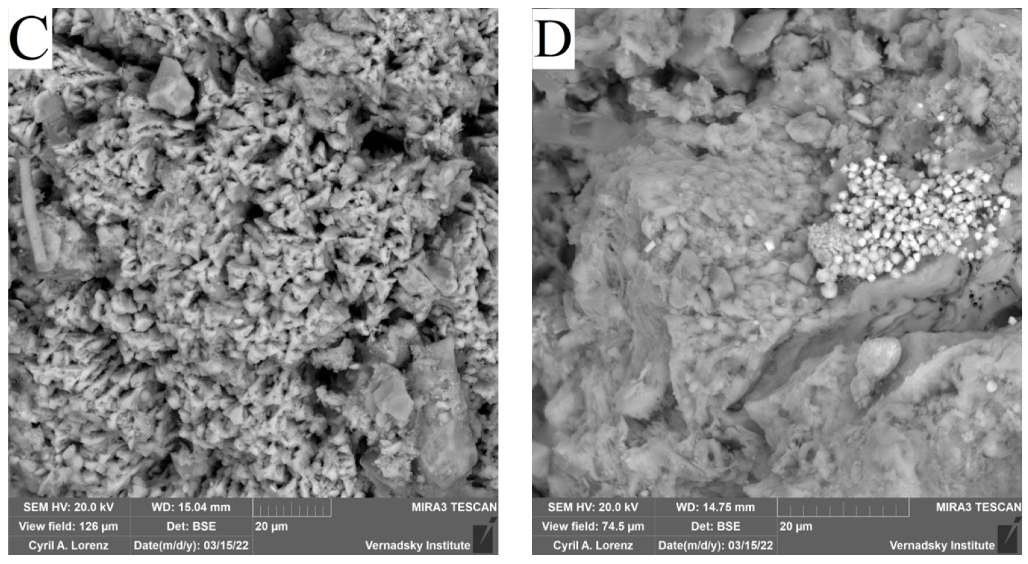 Biology 12 00010 g010b Biology 12 00010 g010b