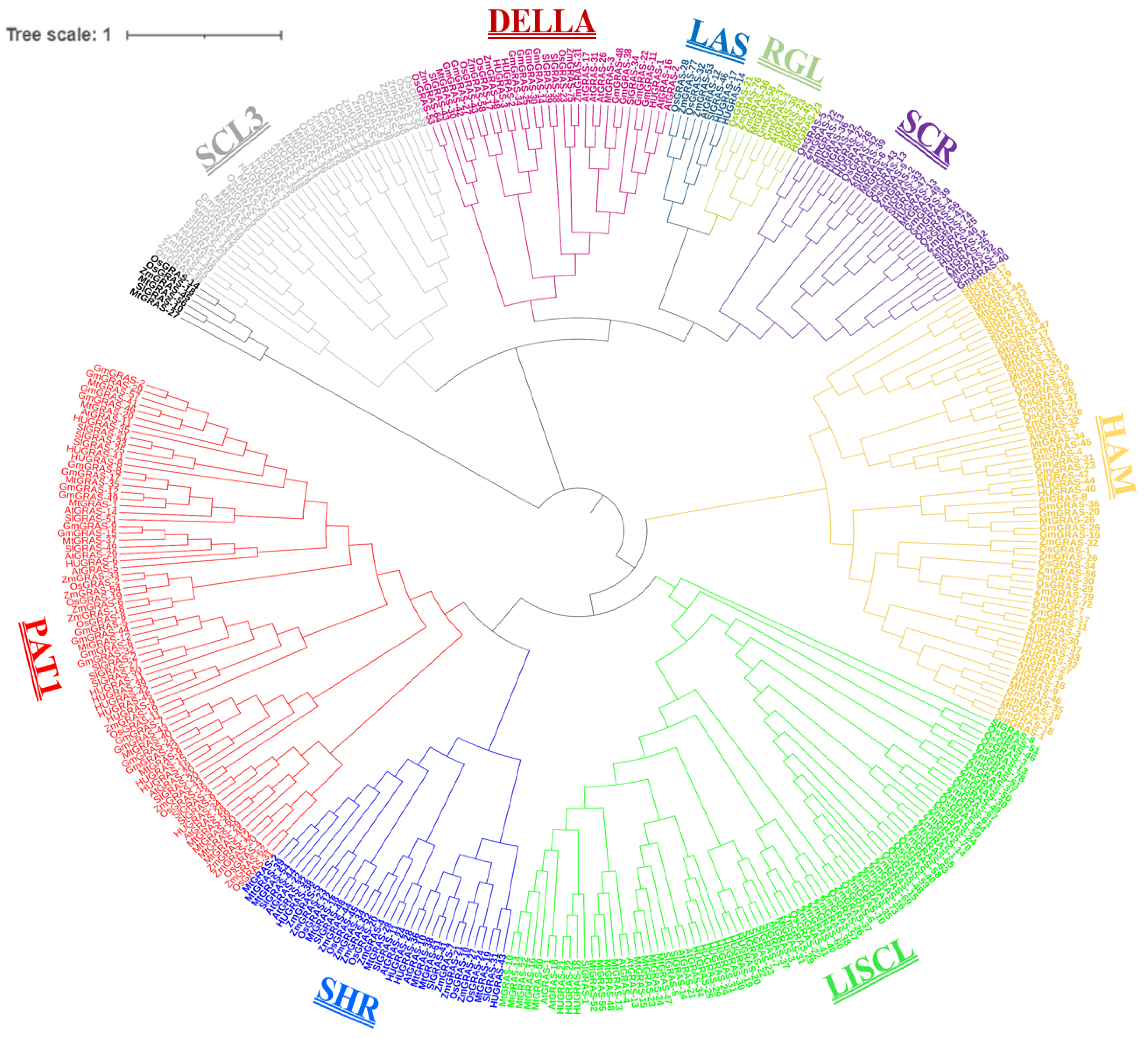 Biology 12 00011 g002 Biology 12 00011 g002