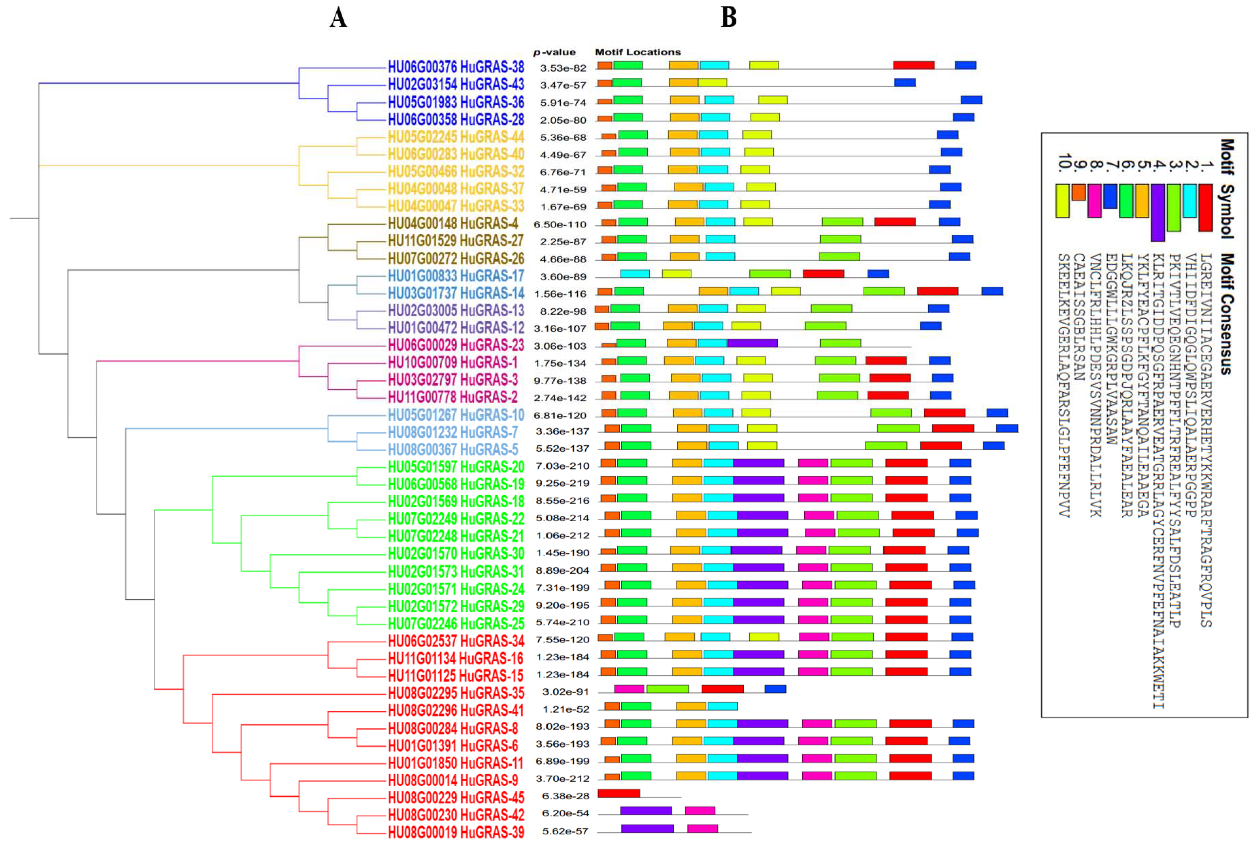 Biology 12 00011 g003 Biology 12 00011 g003