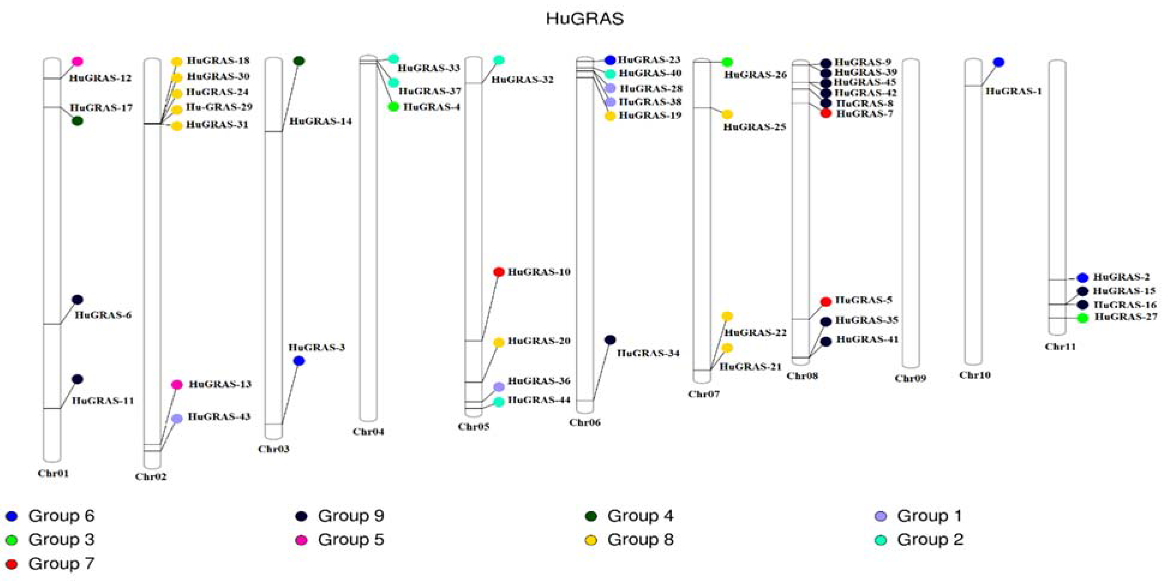 Biology 12 00011 g004 Biology 12 00011 g004