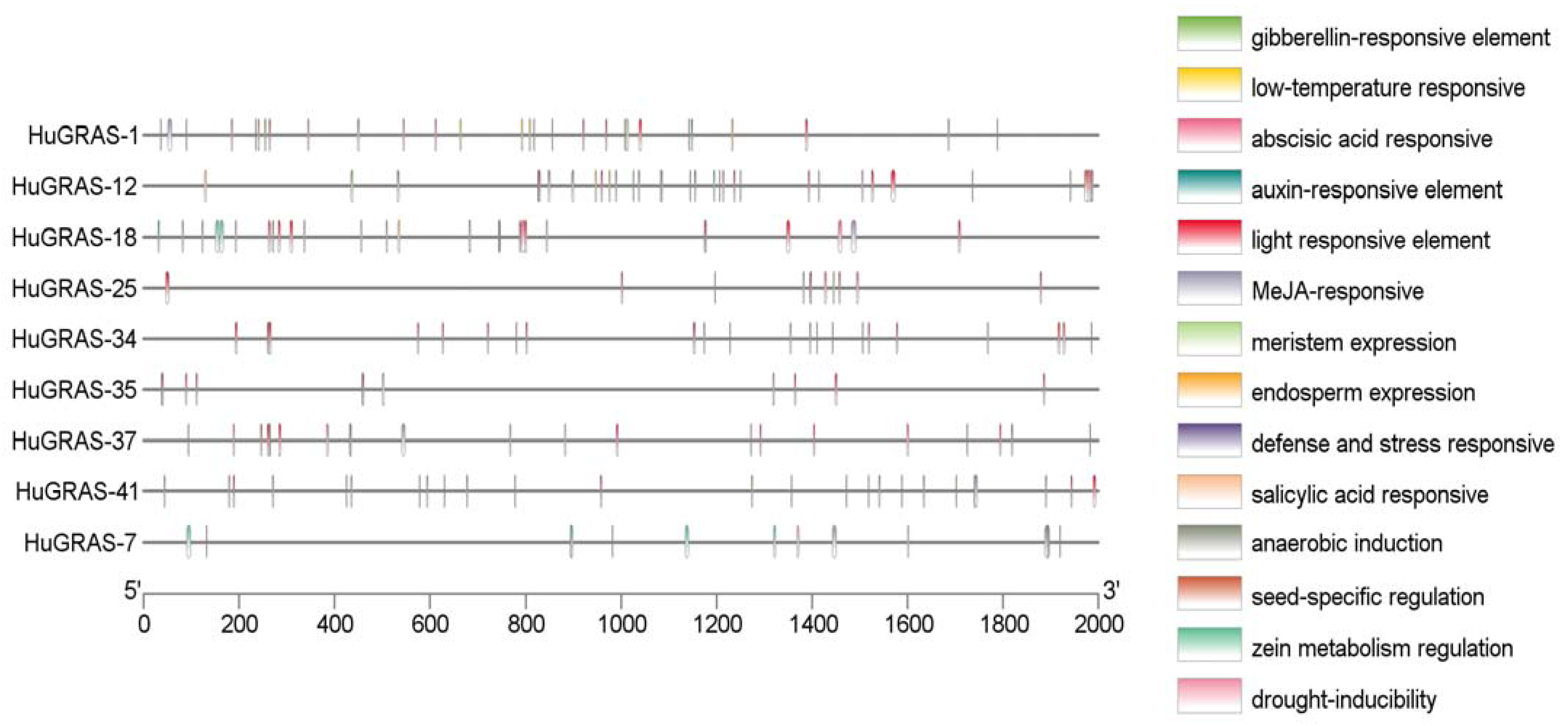 Biology 12 00011 g007 Biology 12 00011 g007