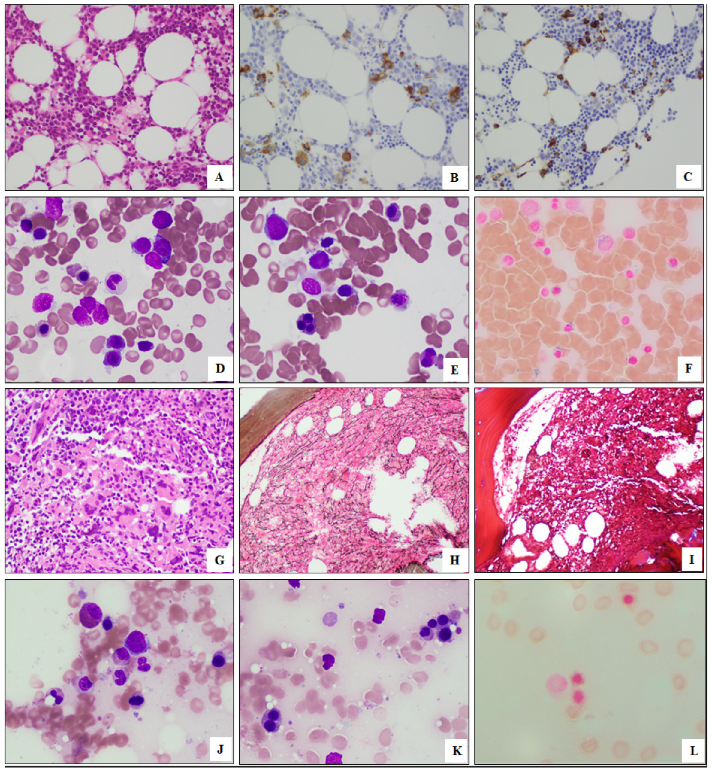 Biology 12 00013 g001