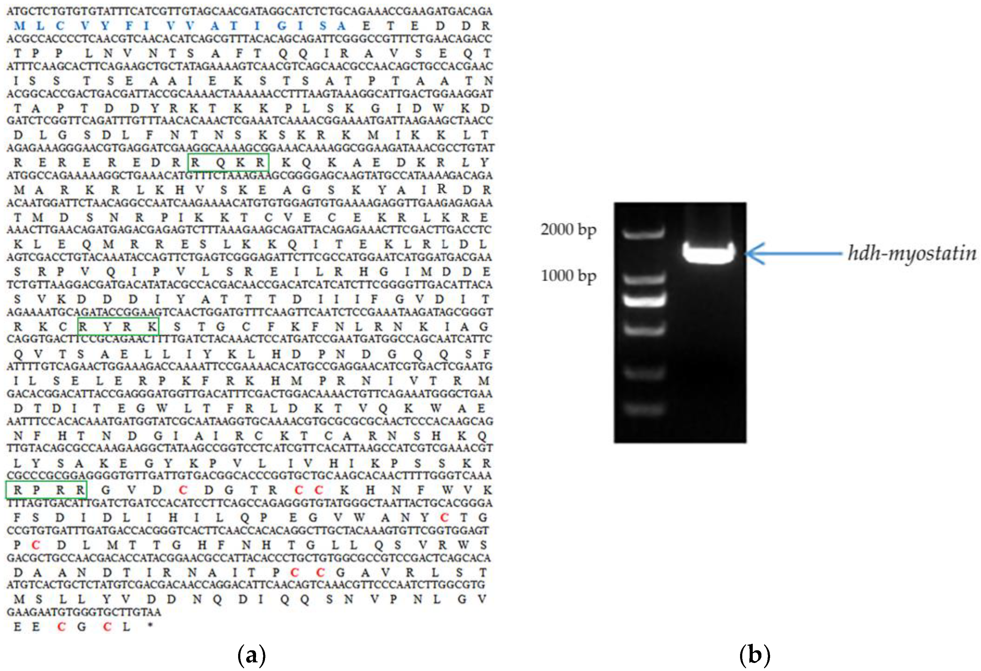 Biology 12 00014 g001 Biology 12 00014 g001