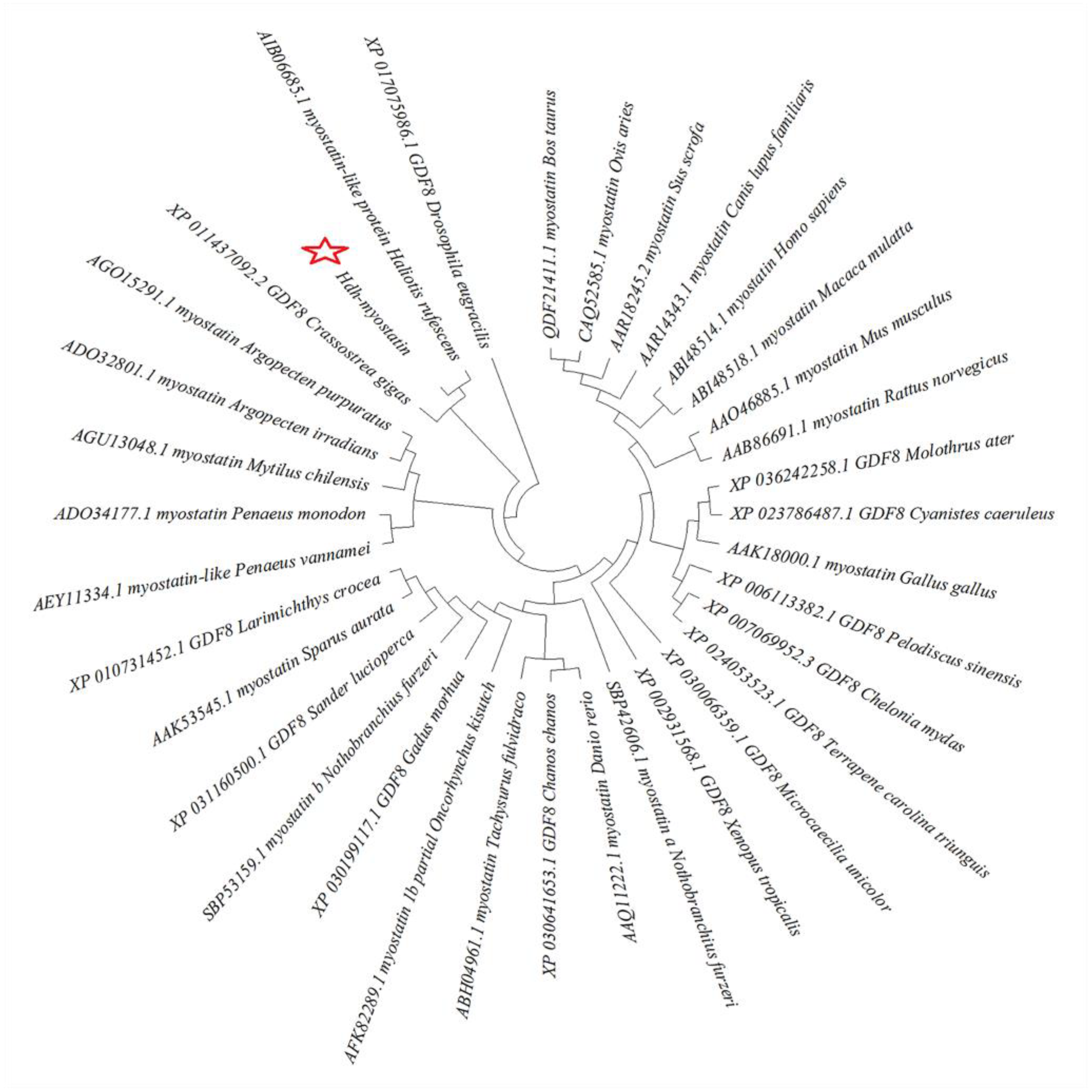 Biology 12 00014 g003 Biology 12 00014 g003
