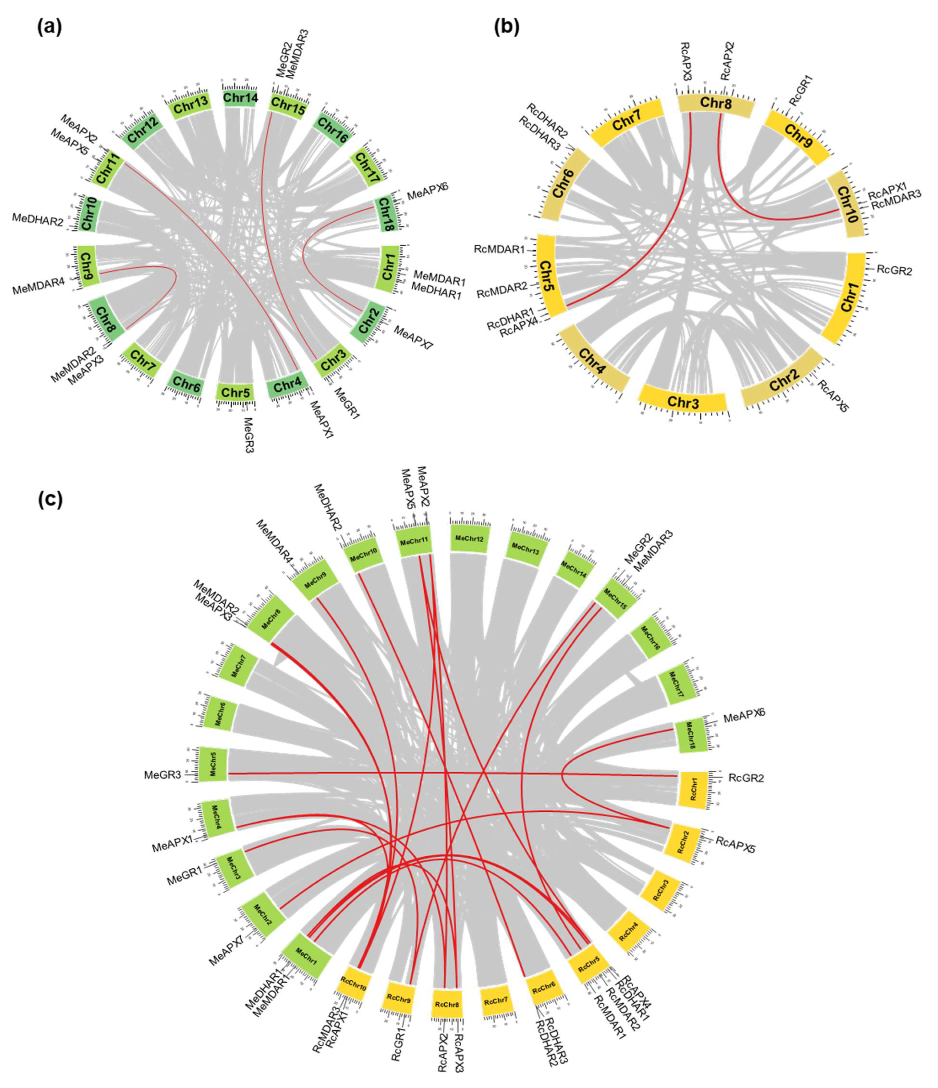 Biology 12 00019 g002 Biology 12 00019 g002