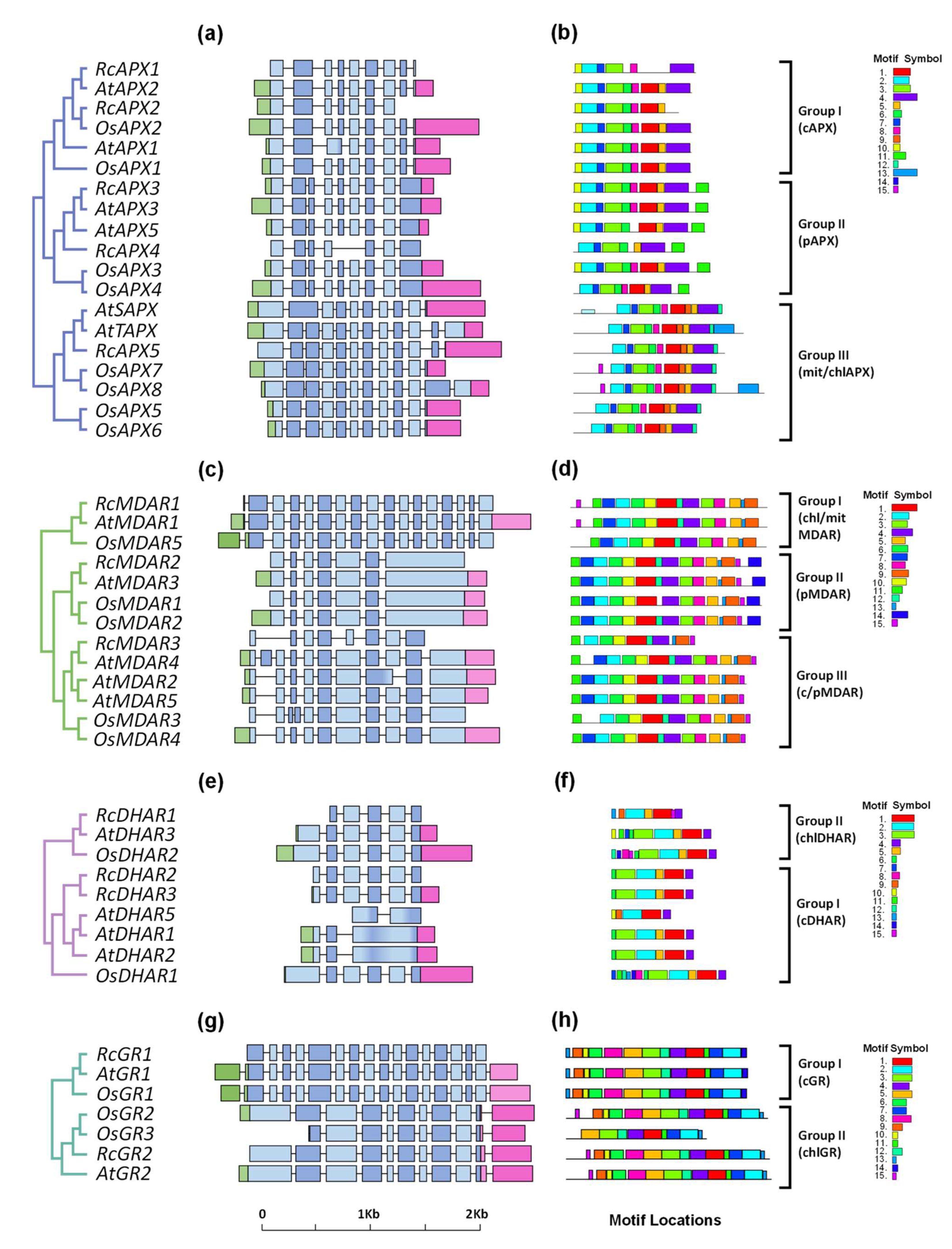 Biology 12 00019 g003 Biology 12 00019 g003